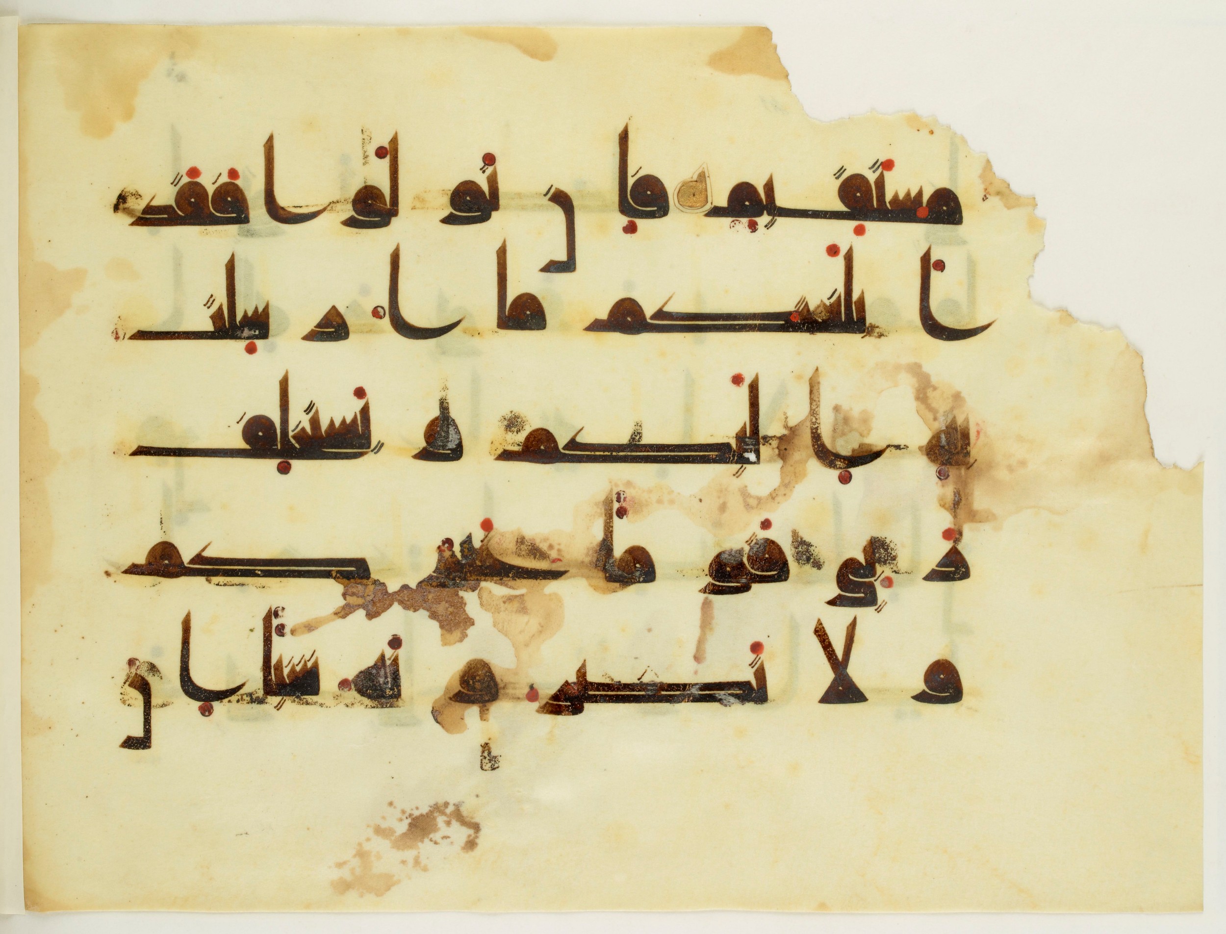 Paris, Bibliothèque nationale de France, Arabe 350 (a) (Scan 2), in Kūfī D.I script, showing Surah 11:56 from Mid 8th to Late 10th Century AD found in Fustat (Old Cairo), Egypt, currently housed at Bibliothèque nationale de France, Paris
