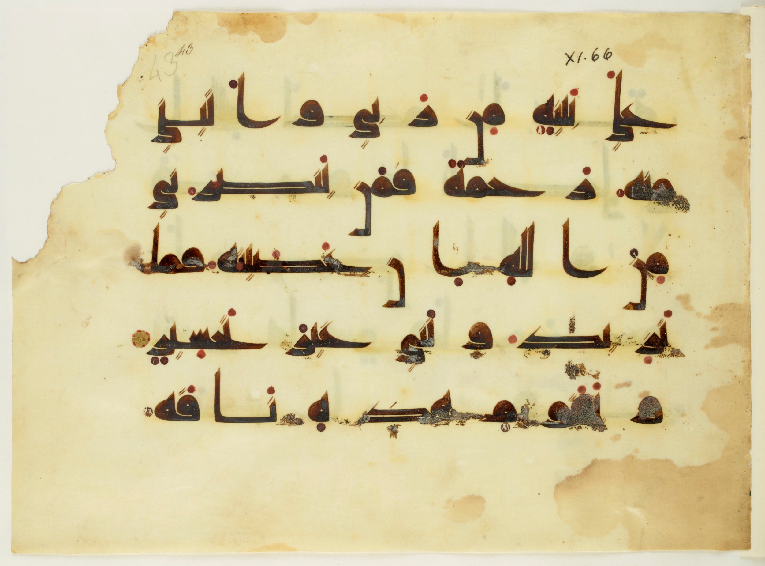 Paris, Bibliothèque nationale de France, Arabe 350 (a) (Scan 2), in Kūfī D.I script, showing Surah 11:63 from Mid 8th to Late 10th Century AD found in Fustat (Old Cairo), Egypt, currently housed at Bibliothèque nationale de France, Paris
