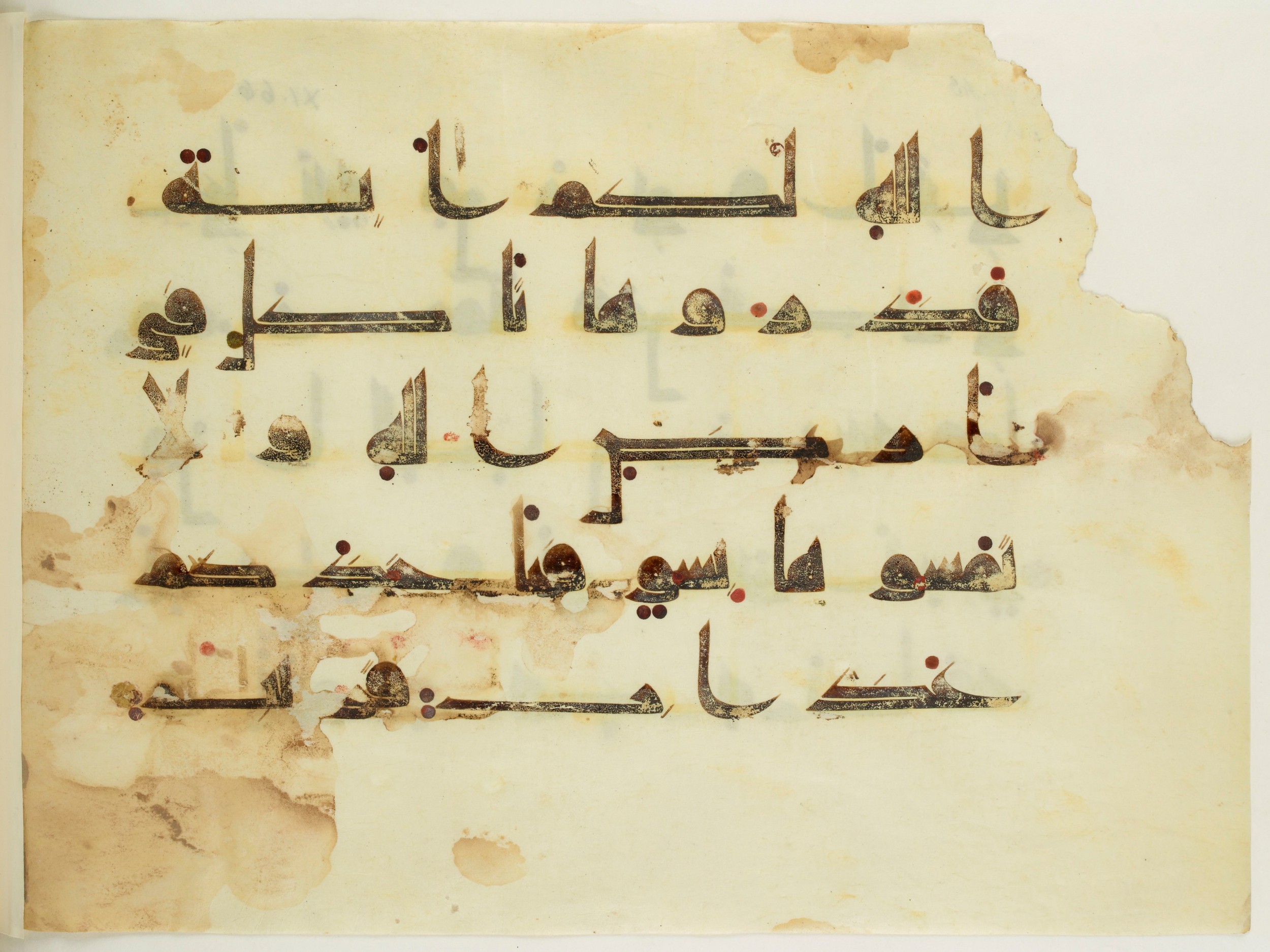 Paris, Bibliothèque nationale de France, Arabe 350 (a) (Scan 2), in Kūfī D.I script, showing Surah 11:64 from Mid 8th to Late 10th Century AD found in Fustat (Old Cairo), Egypt, currently housed at Bibliothèque nationale de France, Paris