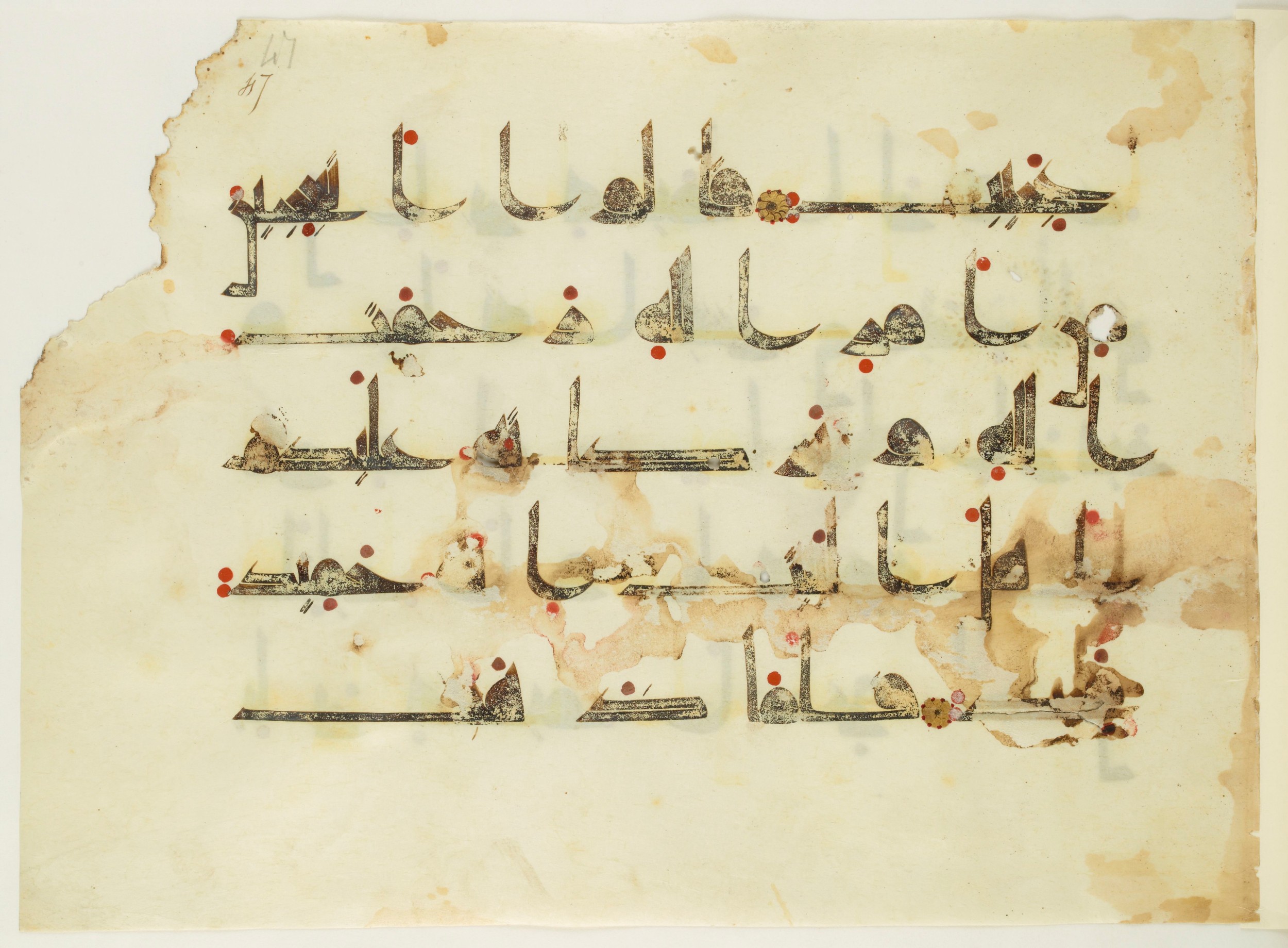 Paris, Bibliothèque nationale de France, Arabe 350 (a) (Scan 2), in Kūfī D.I script, showing Surah 11:72 from Mid 8th to Late 10th Century AD found in Fustat (Old Cairo), Egypt, currently housed at Bibliothèque nationale de France, Paris