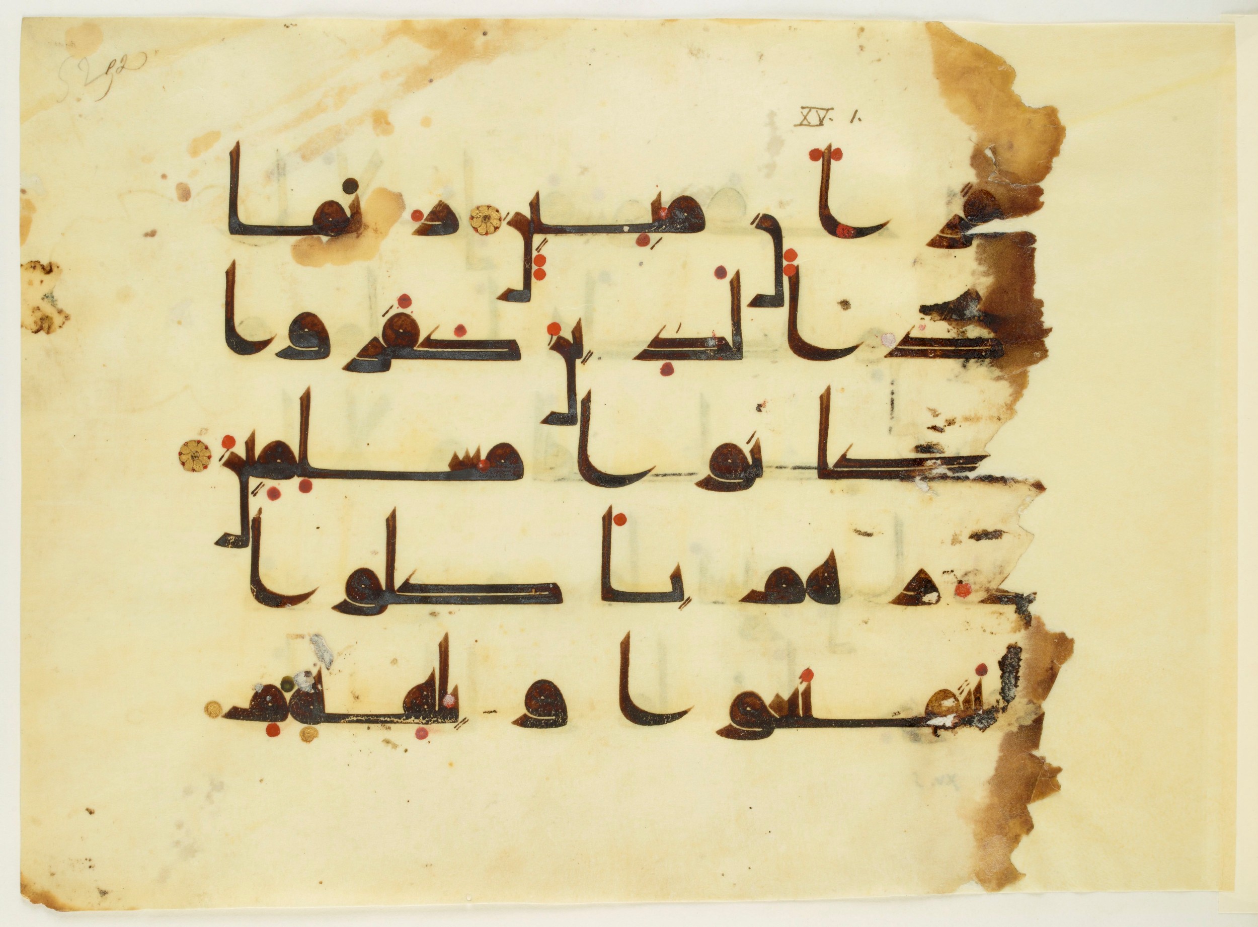 Paris, Bibliothèque nationale de France, Arabe 350 (a), in Kūfī D.I script, showing Surah 15:2 from Mid 8th to Late 10th Century AD found in Fustat (Old Cairo), Egypt, currently housed at Bibliothèque nationale de France, Paris