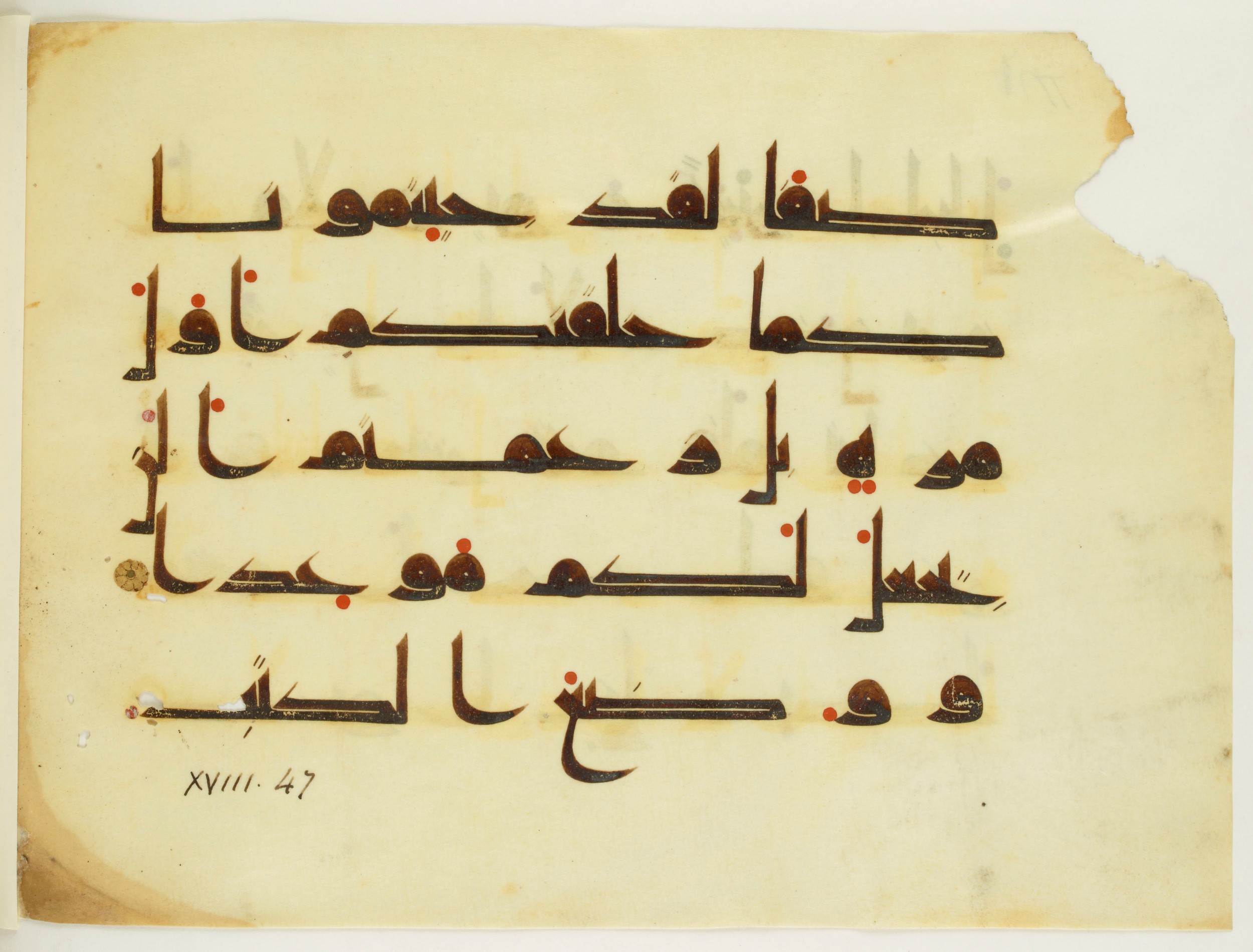 Paris, Bibliothèque nationale de France, Arabe 350 (a) (Scan 1), in Kūfī D.I script, showing Surah 18:49 from Mid 8th to Late 10th Century AD found in Fustat (Old Cairo), Egypt, currently housed at Bibliothèque nationale de France, Paris