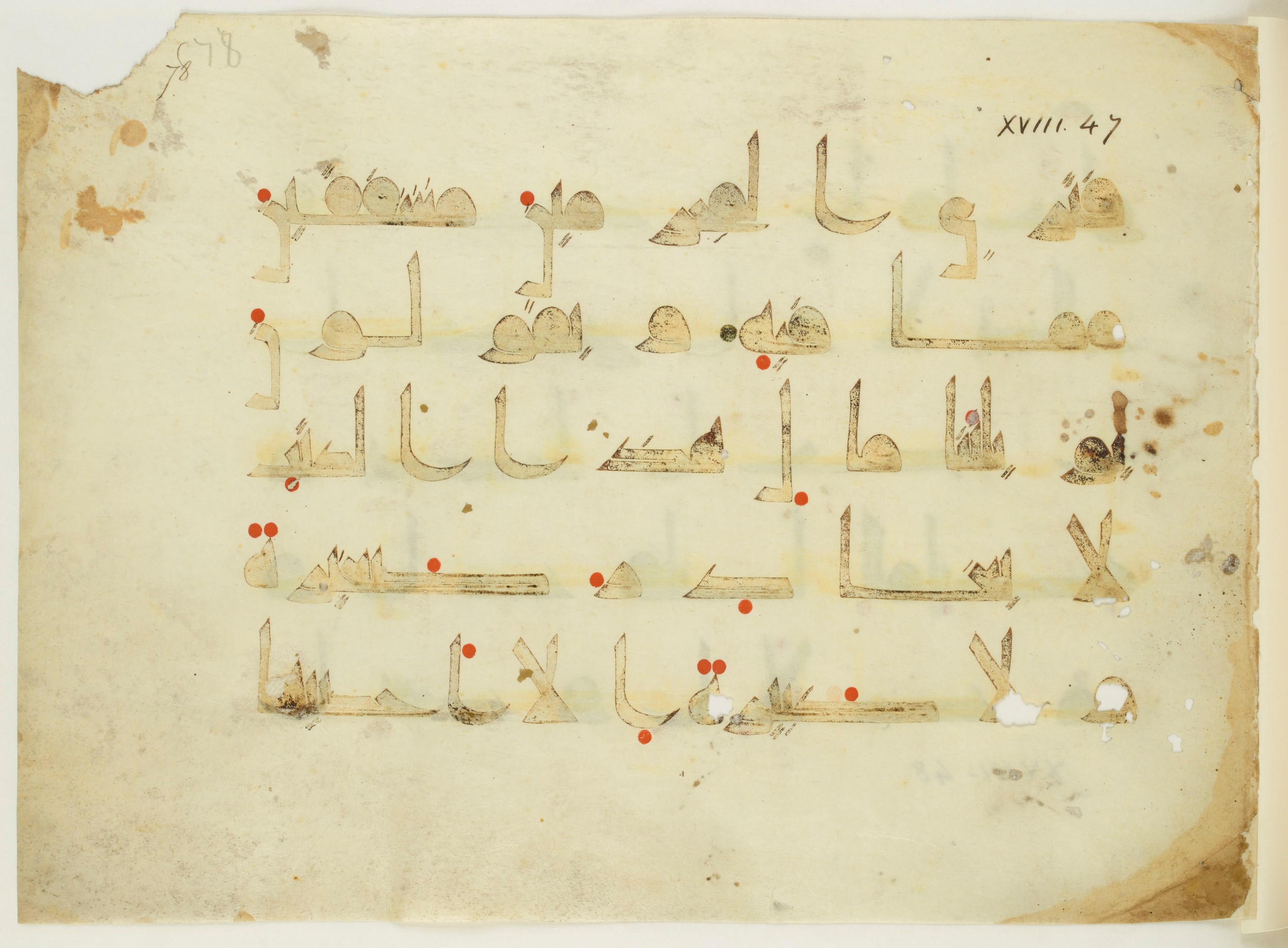 Paris, Bibliothèque nationale de France, Arabe 350 (a) (Scan 2), in Kūfī D.I script, showing Surah 18:49 from Mid 8th to Late 10th Century AD found in Fustat (Old Cairo), Egypt, currently housed at Bibliothèque nationale de France, Paris