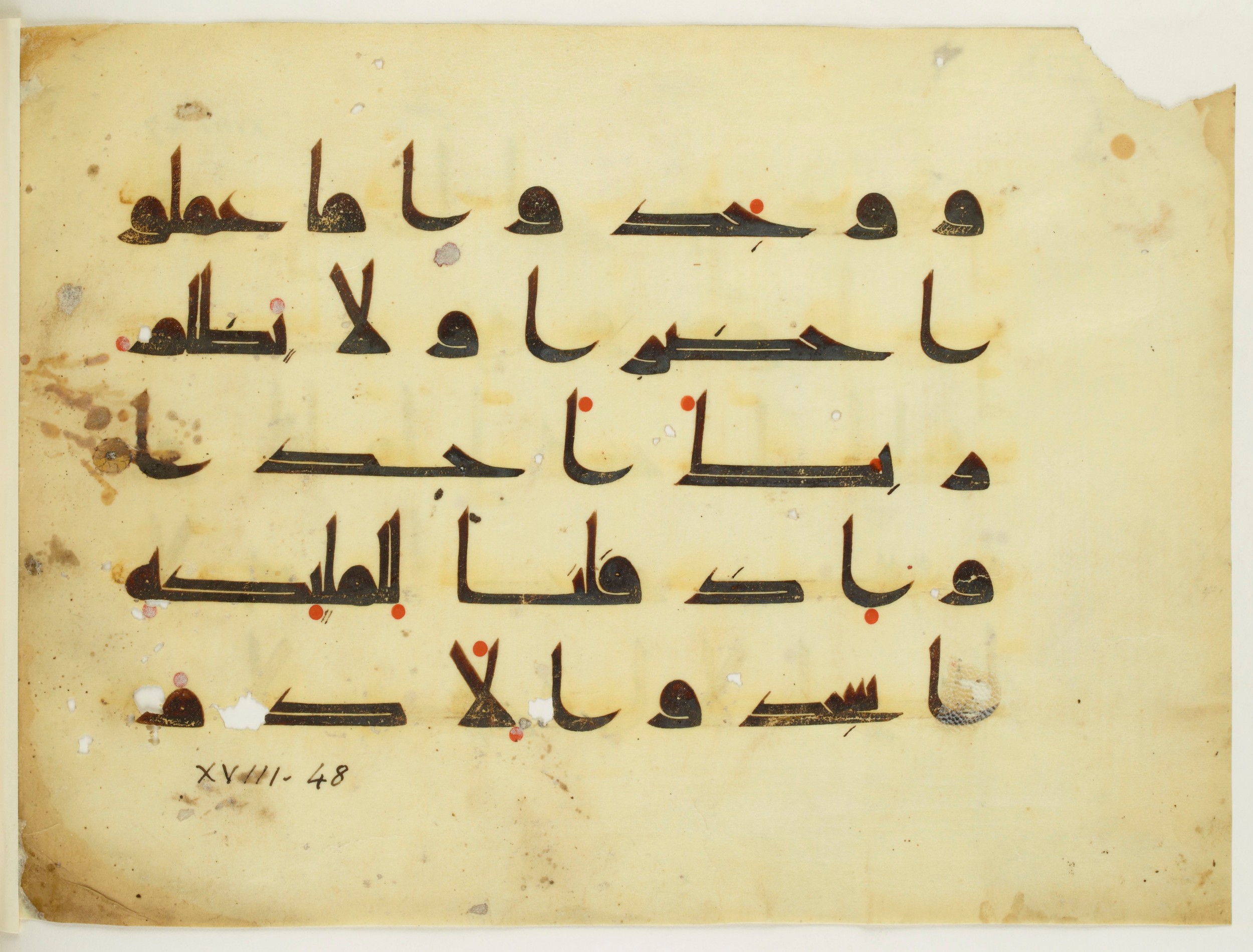 Paris, Bibliothèque nationale de France, Arabe 350 (a) (Scan 3), in Kūfī D.I script, showing Surah 18:49 from Mid 8th to Late 10th Century AD found in Fustat (Old Cairo), Egypt, currently housed at Bibliothèque nationale de France, Paris