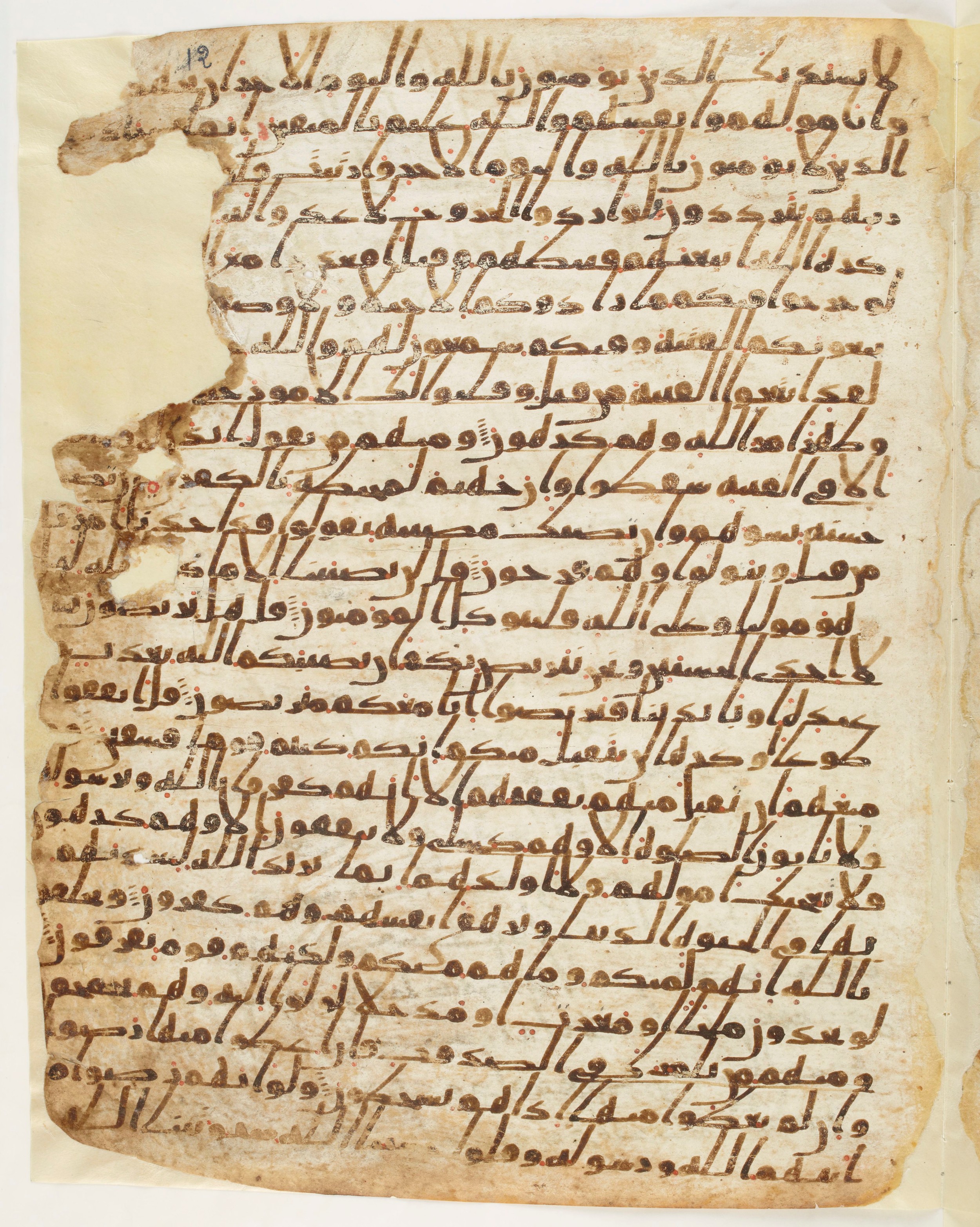 Paris, Bibliothèque nationale de France, Arabe 6140 (a) (Scan 2), in Ḥiǧāzī I script, showing Surah 9:49 from Mid 7th to Mid 8th Century AD found in Damascus, Syria, currently housed at Bibliothèque nationale de France, Paris