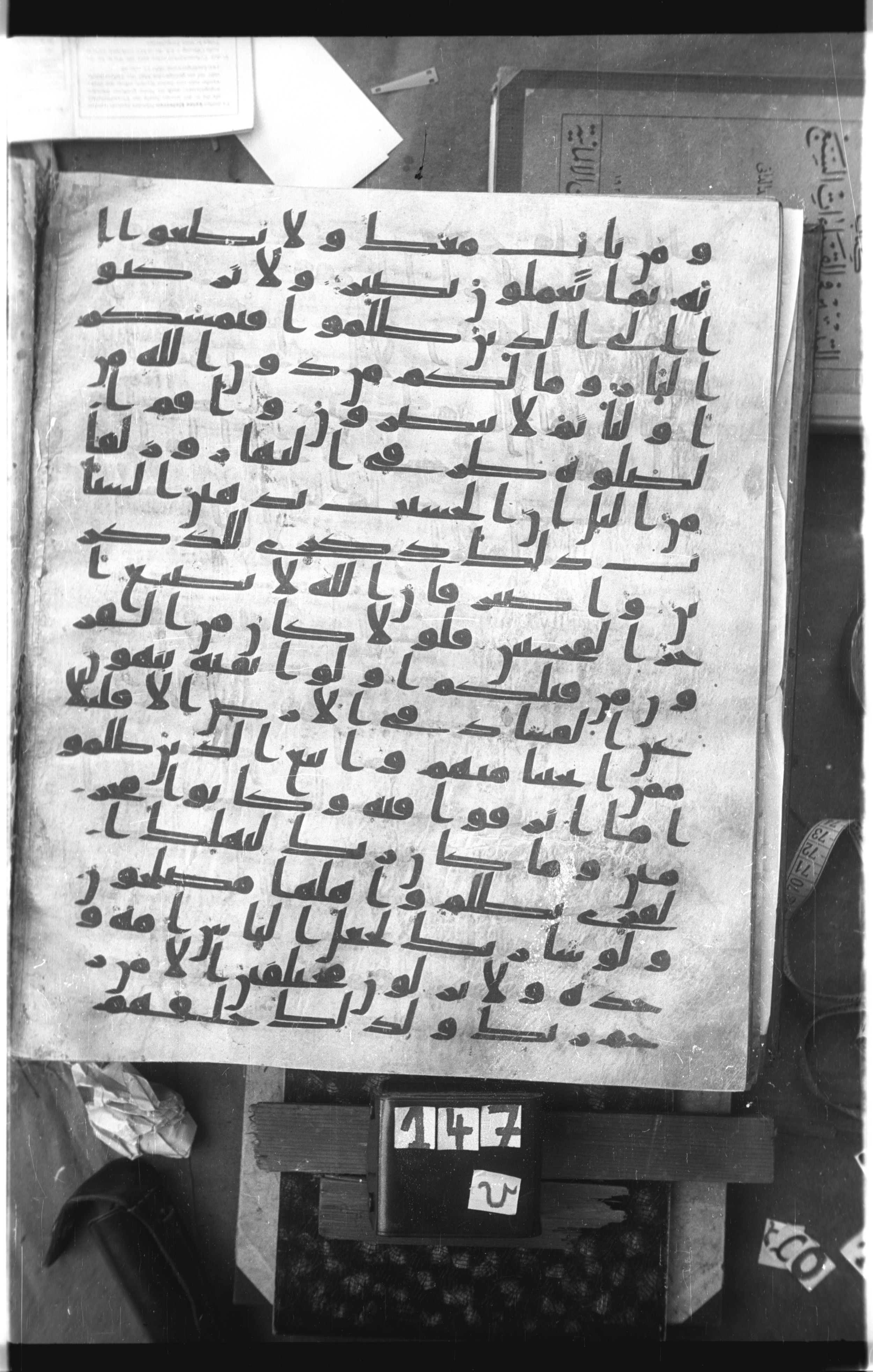 Istanbul, Topkapı Palace Museum, Saray 50385, in Ḥiǧāzī IV script, showing Surah 11:113 from 8th Century AD found in Unknown, currently housed at Topkapı Palace Museum, Istanbul