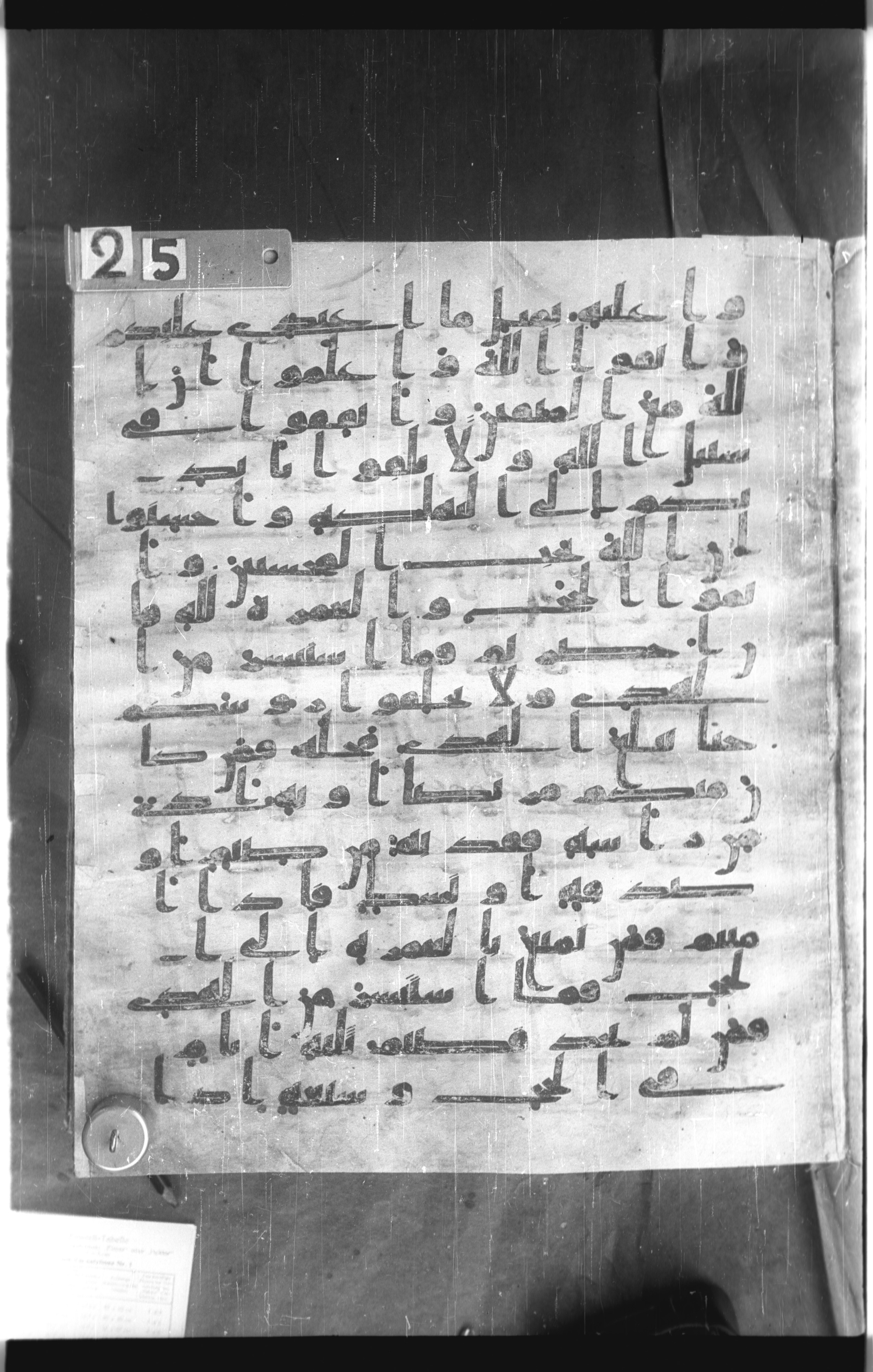 Istanbul, Topkapı Palace Museum, Saray 50385 (Scan 1), in Ḥiǧāzī IV script, showing Surah 2:196 from 8th Century AD found in Unknown, currently housed at Topkapı Palace Museum, Istanbul