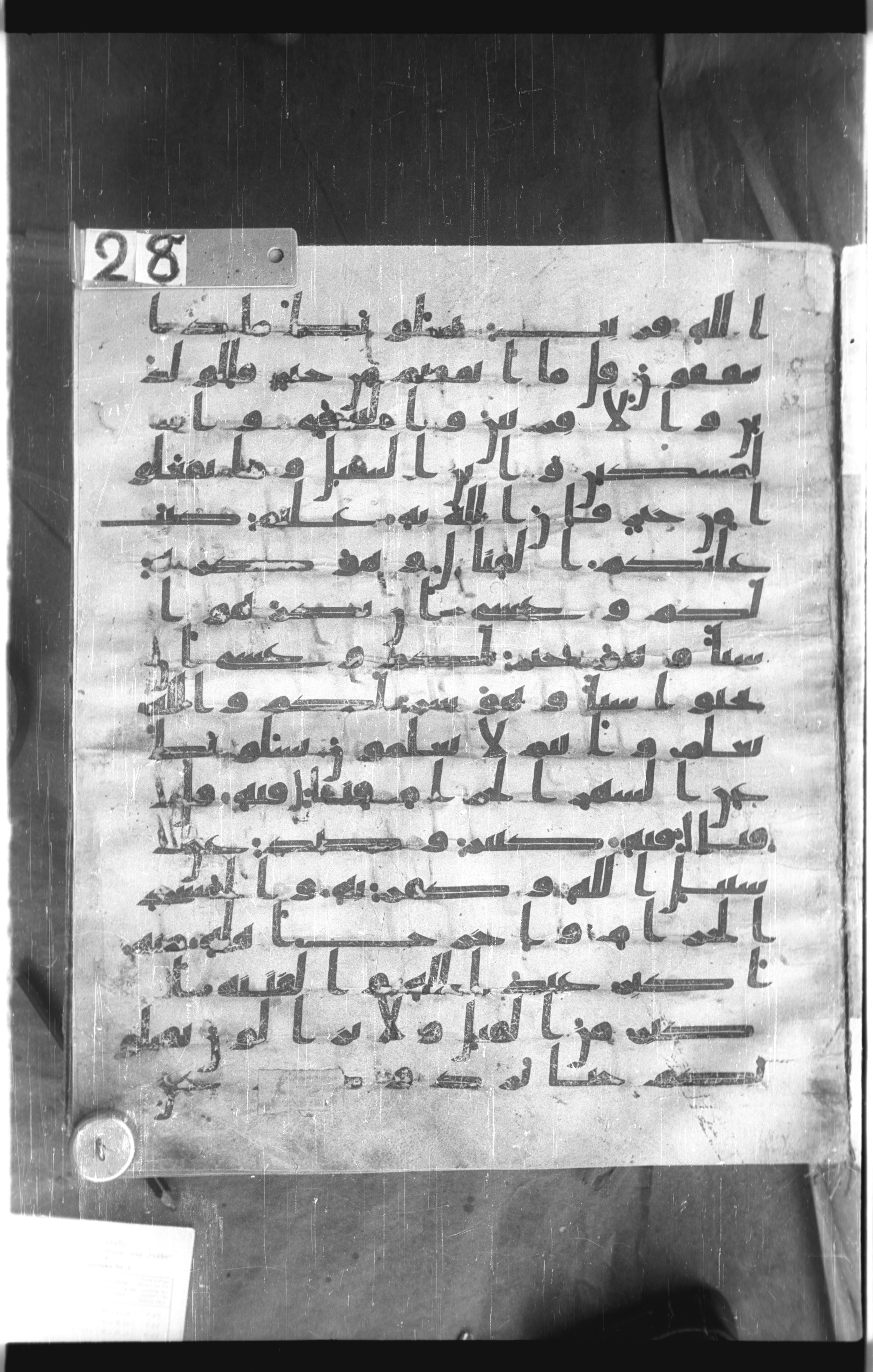 Istanbul, Topkapı Palace Museum, Saray 50385 (Scan 1), in Ḥiǧāzī IV script, showing Surah 2:217 from 8th Century AD found in Unknown, currently housed at Topkapı Palace Museum, Istanbul