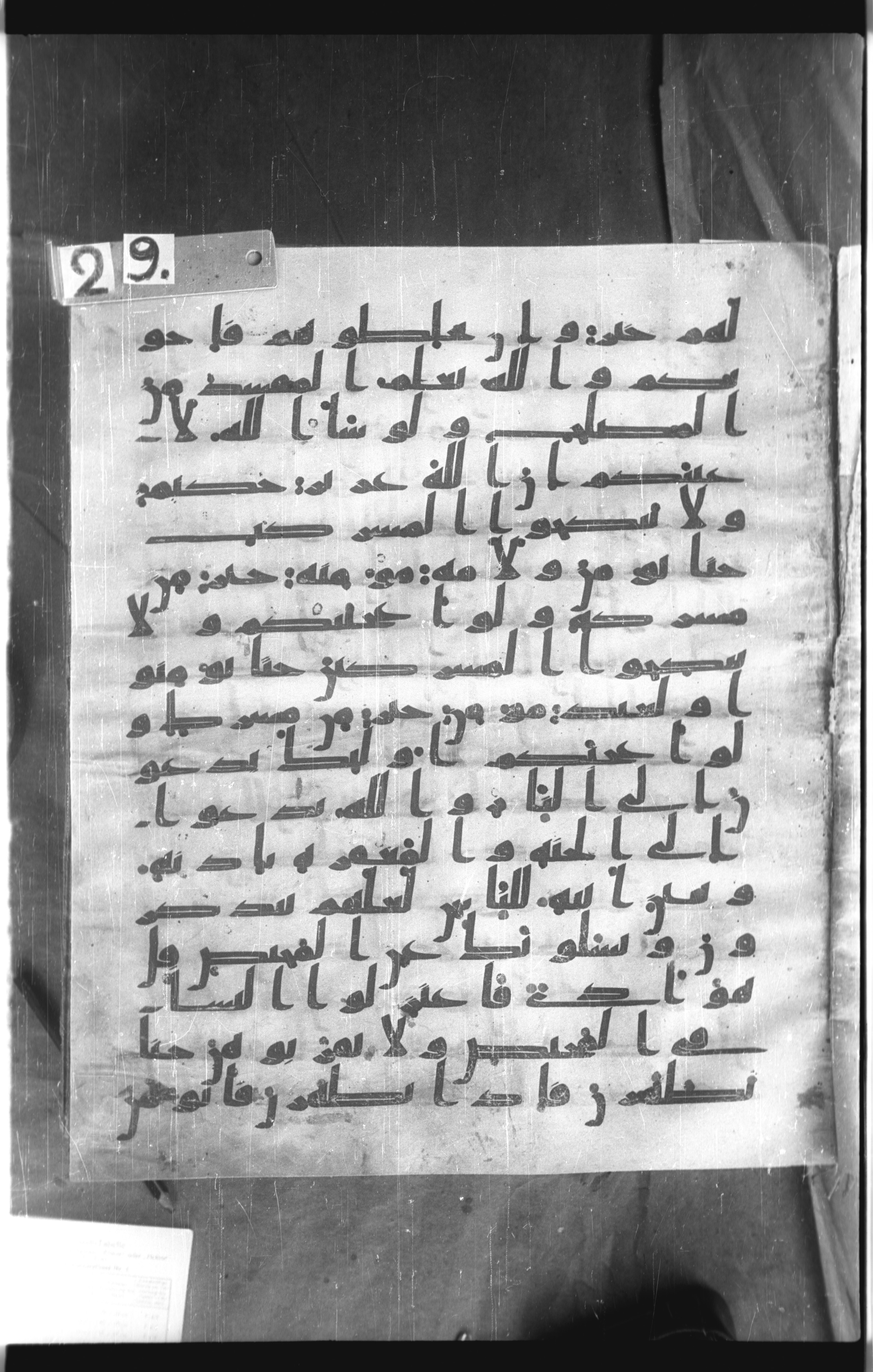 Istanbul, Topkapı Palace Museum, Saray 50385 (Scan 2), in Ḥiǧāzī IV script, showing Surah 2:220 from 8th Century AD found in Unknown, currently housed at Topkapı Palace Museum, Istanbul