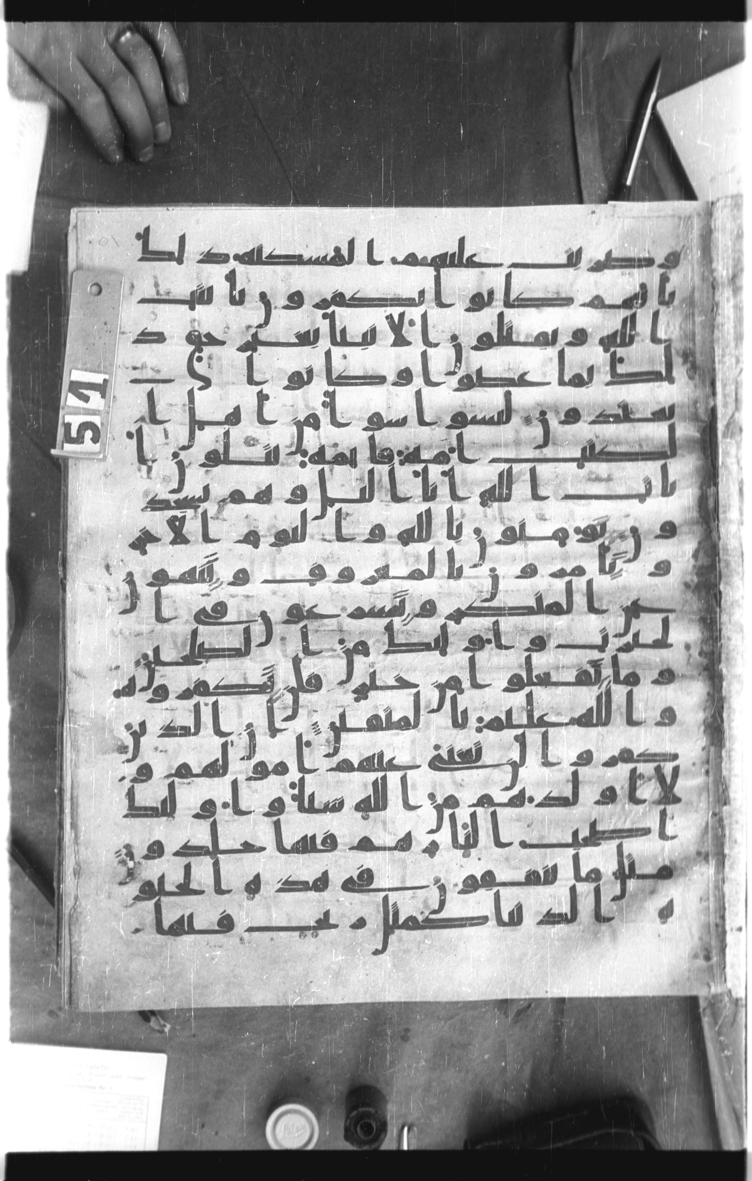 Istanbul, Topkapı Palace Museum, Saray 50385, in Ḥiǧāzī IV script, showing Surah 3:116 from 8th Century AD found in Unknown, currently housed at Topkapı Palace Museum, Istanbul