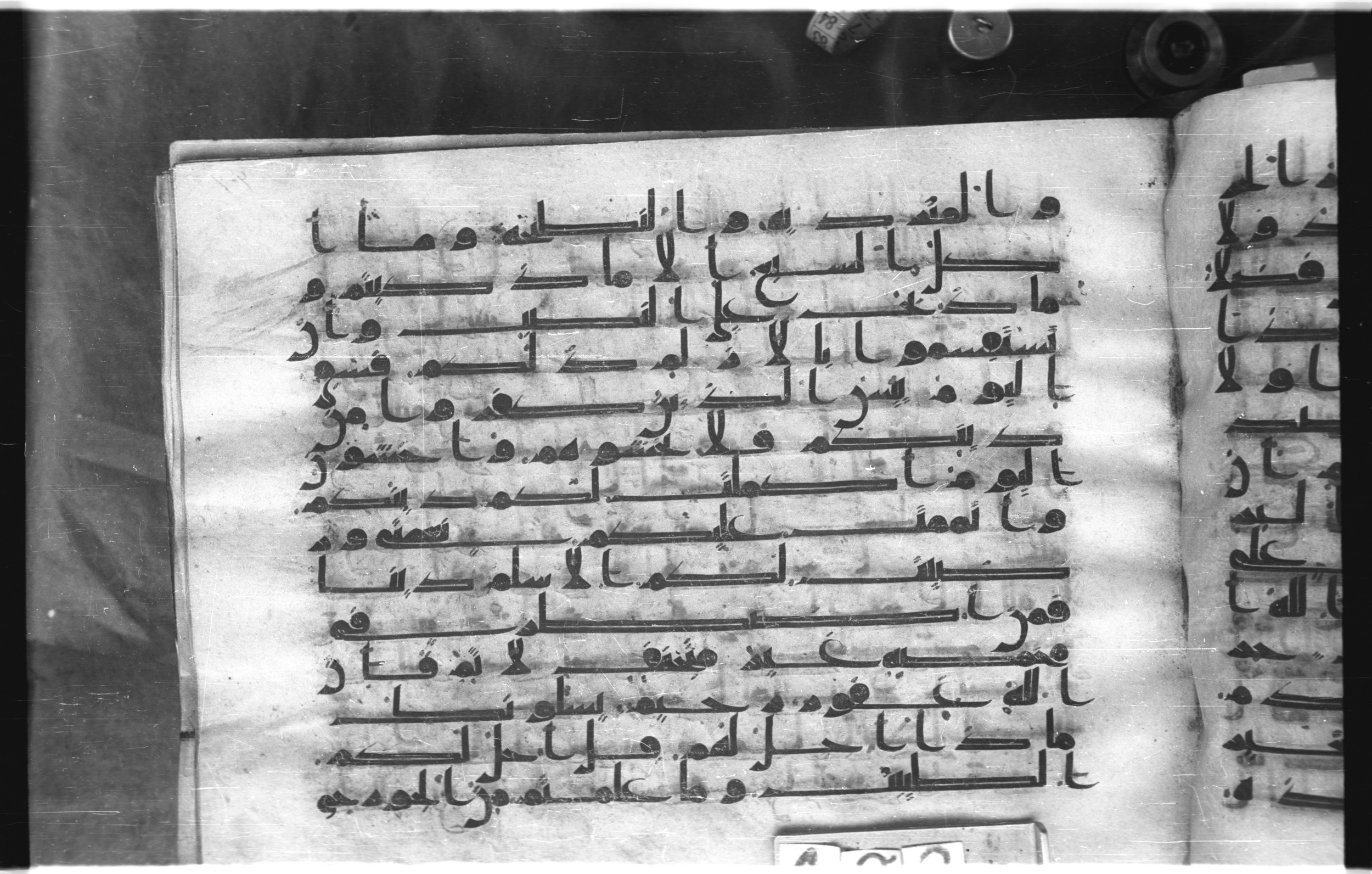 Istanbul, Topkapı Palace Museum, "Saray 50386" (Karatay 42) (Scan 1), in kūfī, type F.I script, showing Surah 5:4 from Mid-8th to Late 9th Century AD found in Unknown provenance, currently housed at Topkapı Palace Museum (Topkapı Sarayı Müzesi), Istanbul, Turkey