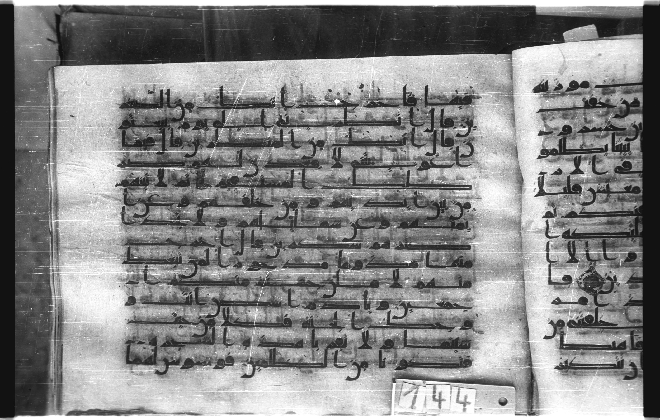 Istanbul, Topkapı Palace Museum, "Saray 50386" (Karatay 42), in kūfī, type F.I script, showing Surah 7:19 from Mid-8th to Late 9th Century AD found in Unknown provenance, currently housed at Topkapı Palace Museum (Topkapı Sarayı Müzesi), Istanbul, Turkey