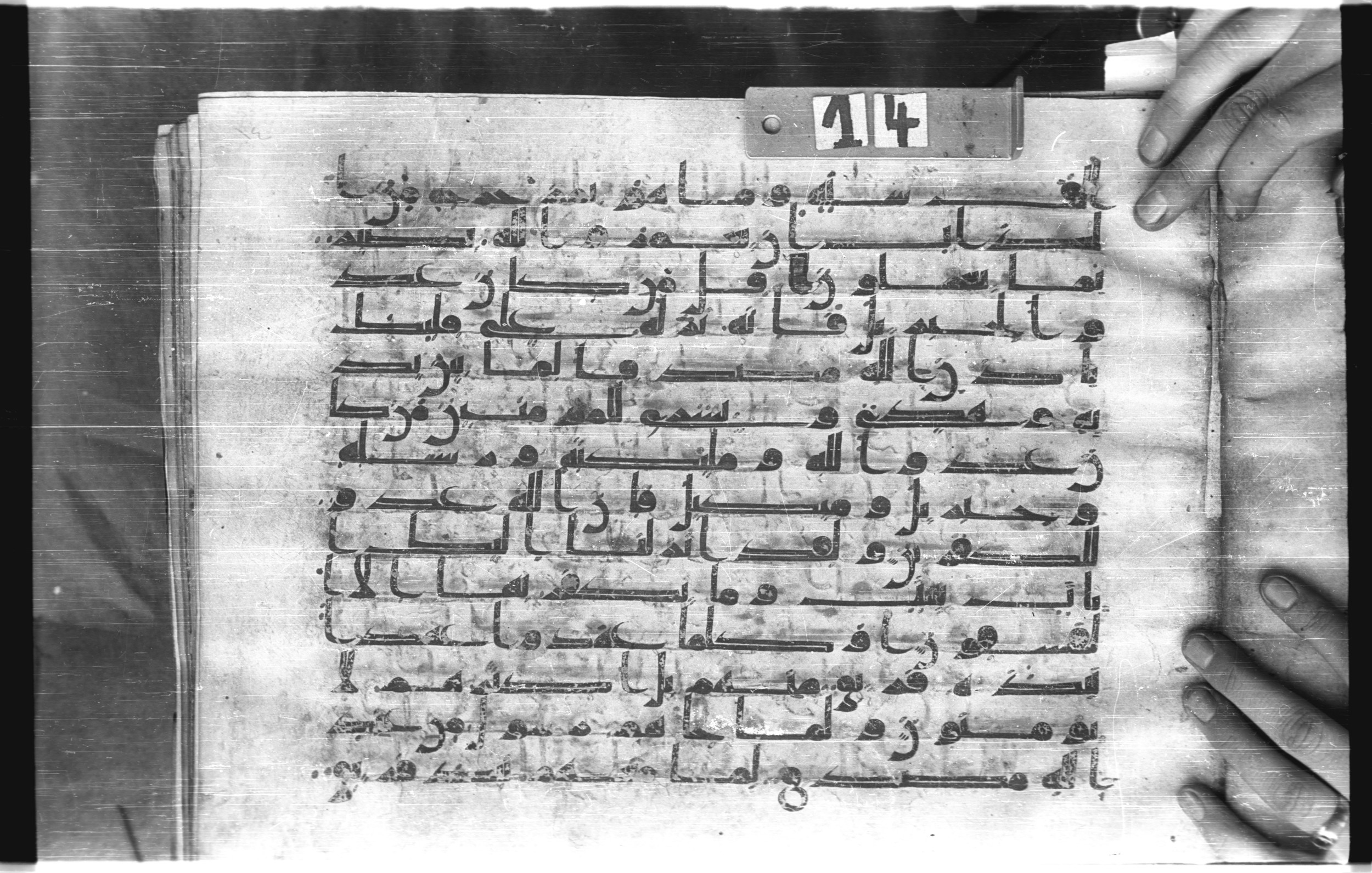 Istanbul, Topkapı Palace Museum, "Saray 50386" (Karatay 42) (Scan 2), in kūfī, type F.I script, showing Surah 2:96 from Mid-8th to Late 9th Century AD found in Unknown provenance, currently housed at Topkapı Palace Museum (Topkapı Sarayı Müzesi), Istanbul, Turkey