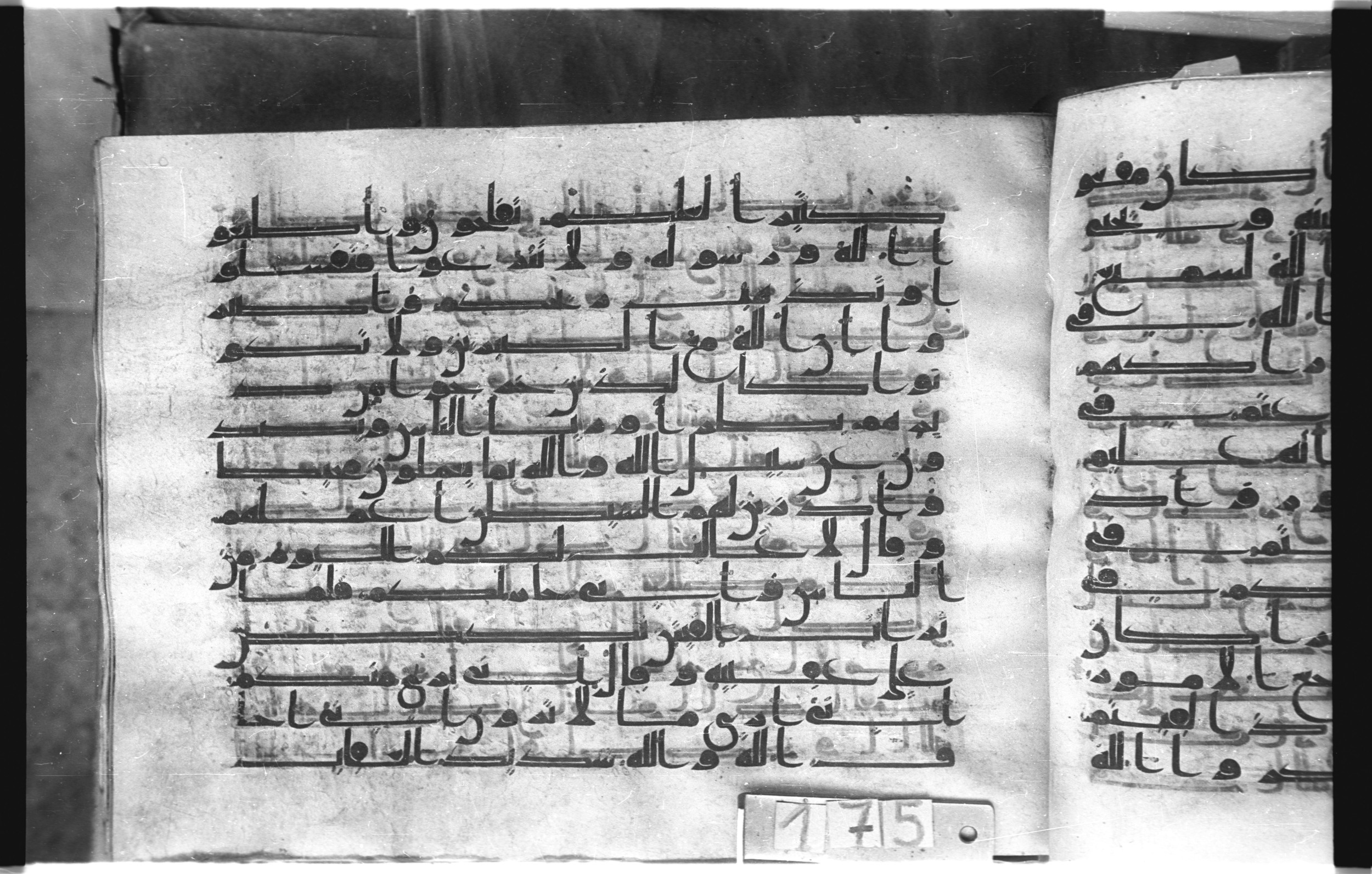 Istanbul, Topkapı Palace Museum, "Saray 50386" (Karatay 42) (Scan 2), in kūfī, type F.I script, showing Surah 8:45 from Mid-8th to Late 9th Century AD found in Unknown provenance, currently housed at Topkapı Palace Museum (Topkapı Sarayı Müzesi), Istanbul, Turkey