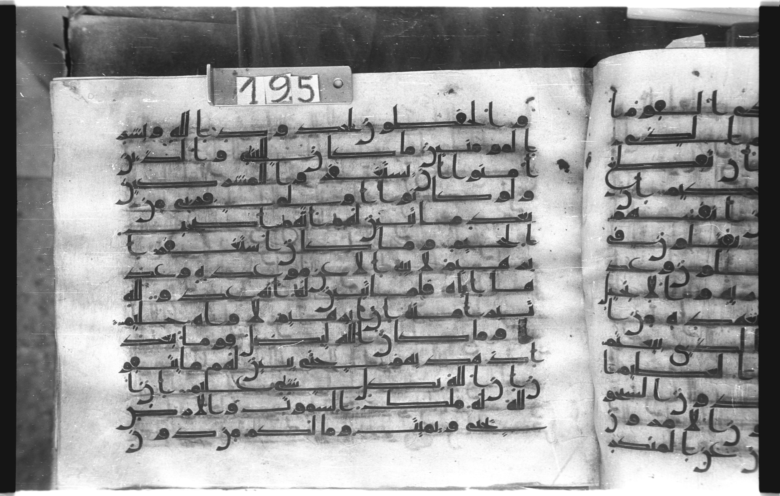 Istanbul, Topkapı Palace Museum, "Saray 50386" (Karatay 42), in kūfī, type F.I script, showing Surah 9:113 from Mid-8th to Late 9th Century AD found in Unknown provenance, currently housed at Topkapı Palace Museum (Topkapı Sarayı Müzesi), Istanbul, Turkey