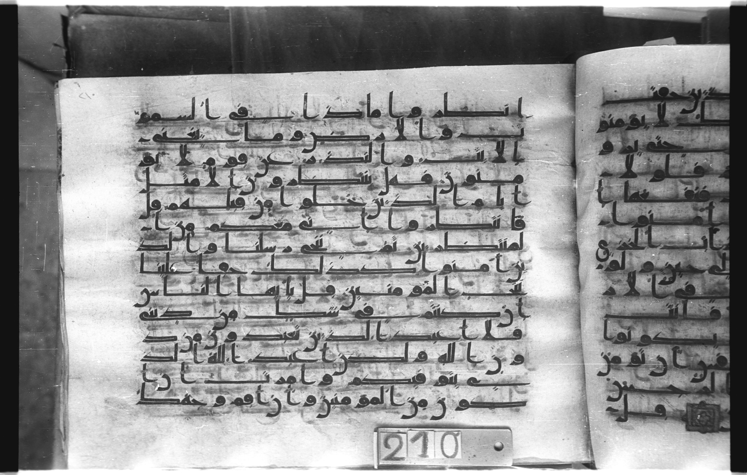 Istanbul, Topkapı Palace Museum, "Saray 50386" (Karatay 42), in kūfī, type F.I script, showing Surah 10:103 from Mid-8th to Late 9th Century AD found in Unknown provenance, currently housed at Topkapı Palace Museum (Topkapı Sarayı Müzesi), Istanbul, Turkey