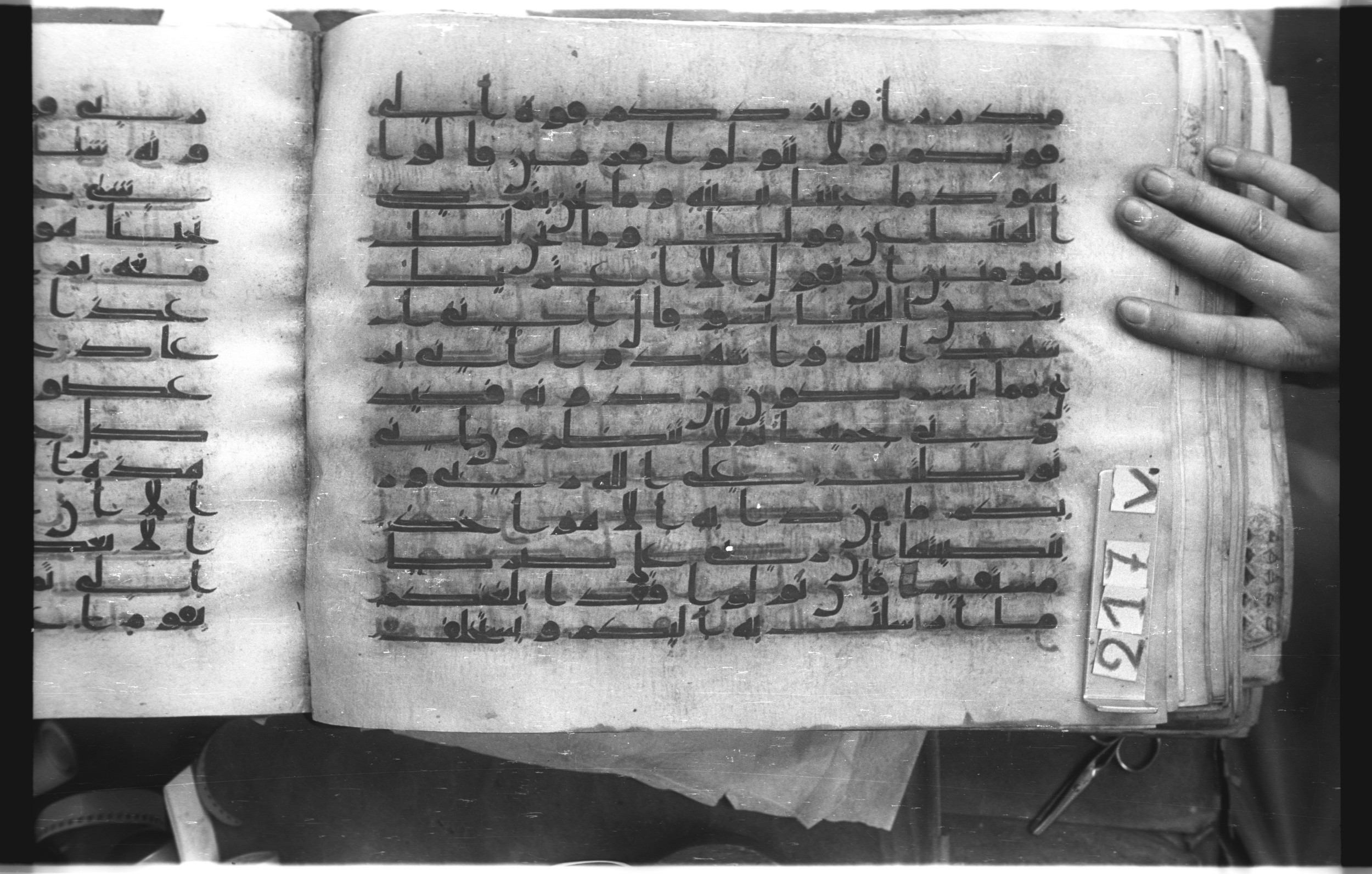 Istanbul, Topkapı Palace Museum, "Saray 50386" (Karatay 42), in kūfī, type F.I script, showing Surah 11:56 from Mid-8th to Late 9th Century AD found in Unknown provenance, currently housed at Topkapı Palace Museum (Topkapı Sarayı Müzesi), Istanbul, Turkey