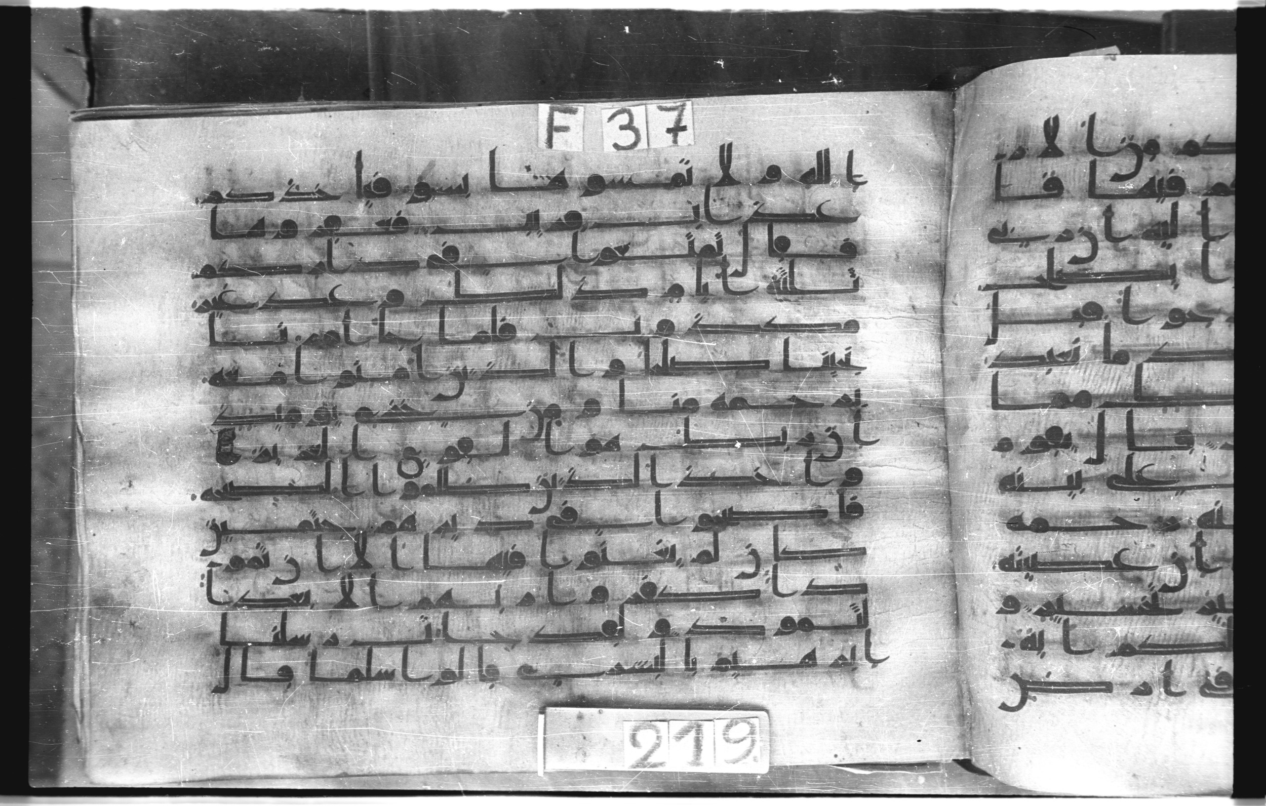 Istanbul, Topkapı Palace Museum, "Saray 50386" (Karatay 42) (Scan 2), in kūfī, type F.I script, showing Surah 11:64 from Mid-8th to Late 9th Century AD found in Unknown provenance, currently housed at Topkapı Palace Museum (Topkapı Sarayı Müzesi), Istanbul, Turkey