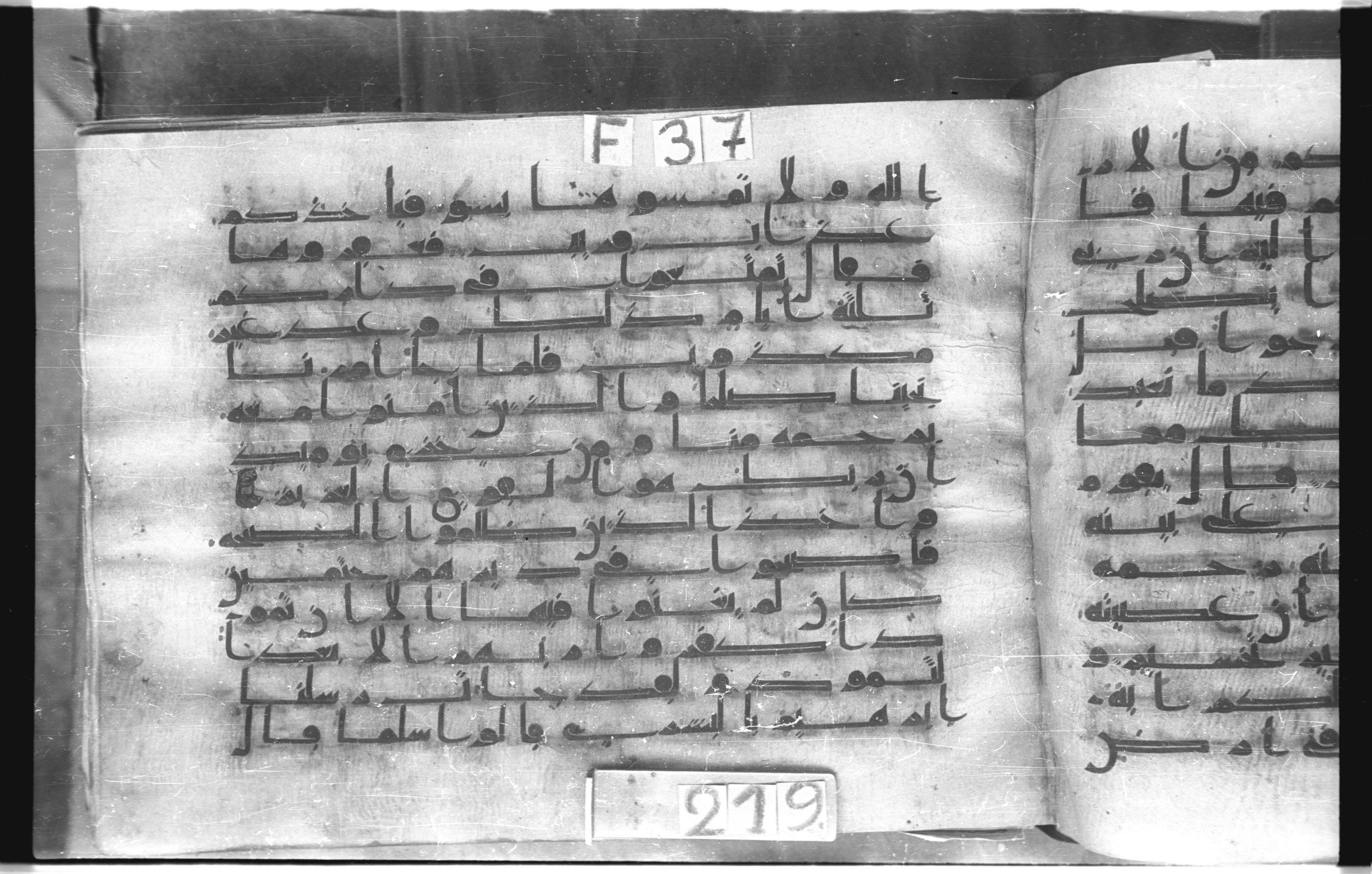 Istanbul, Topkapı Palace Museum, "Saray 50386" (Karatay 42) (Scan 3), in kūfī, type F.I script, showing Surah 11:64 from Mid-8th to Late 9th Century AD found in Unknown provenance, currently housed at Topkapı Palace Museum (Topkapı Sarayı Müzesi), Istanbul, Turkey