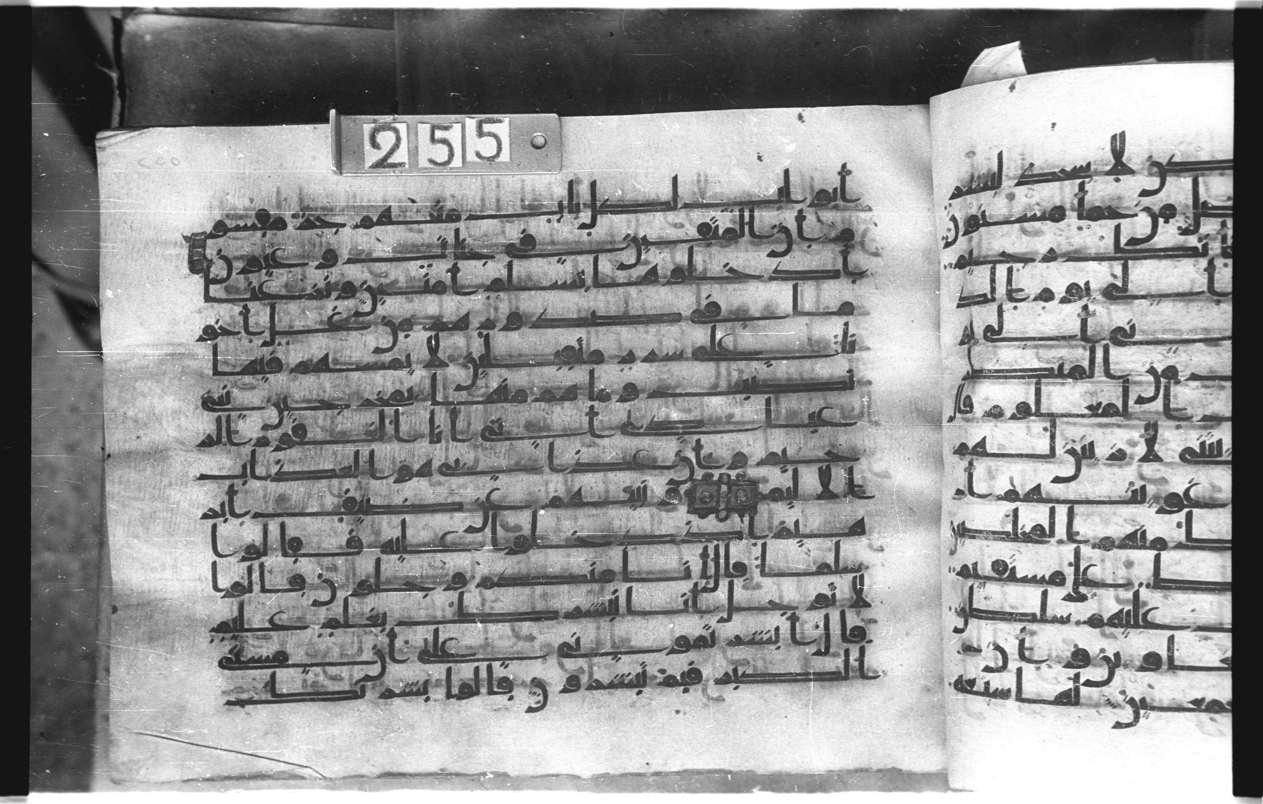 Istanbul, Topkapı Palace Museum, "Saray 50386" (Karatay 42), in kūfī, type F.I script, showing Surah 15:49 from Mid-8th to Late 9th Century AD found in Unknown provenance, currently housed at Topkapı Palace Museum (Topkapı Sarayı Müzesi), Istanbul, Turkey