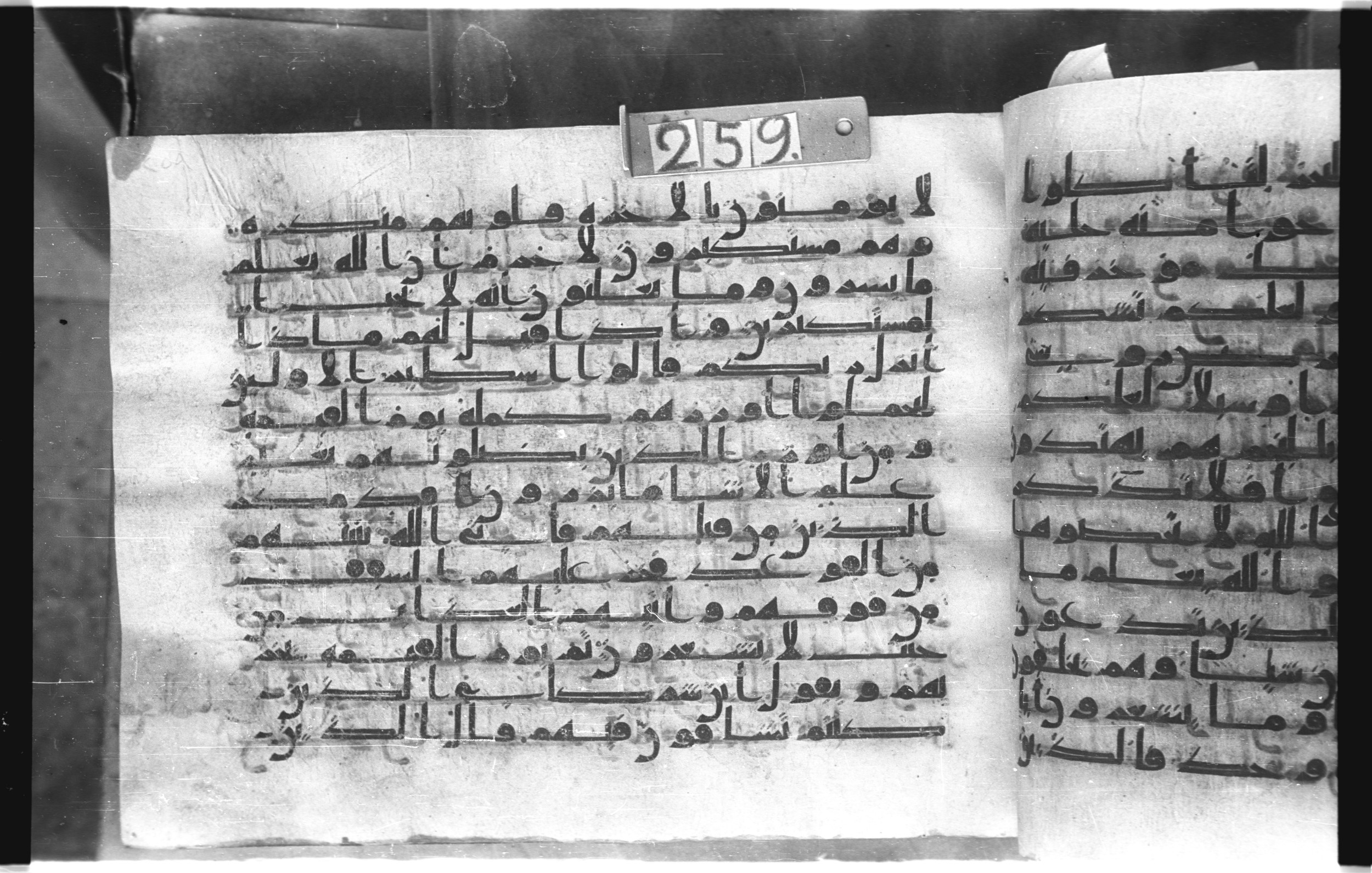 Istanbul, Topkapı Palace Museum, "Saray 50386" (Karatay 42), in kūfī, type F.I script, showing Surah 16:23 from Mid-8th to Late 9th Century AD found in Unknown provenance, currently housed at Topkapı Palace Museum (Topkapı Sarayı Müzesi), Istanbul, Turkey