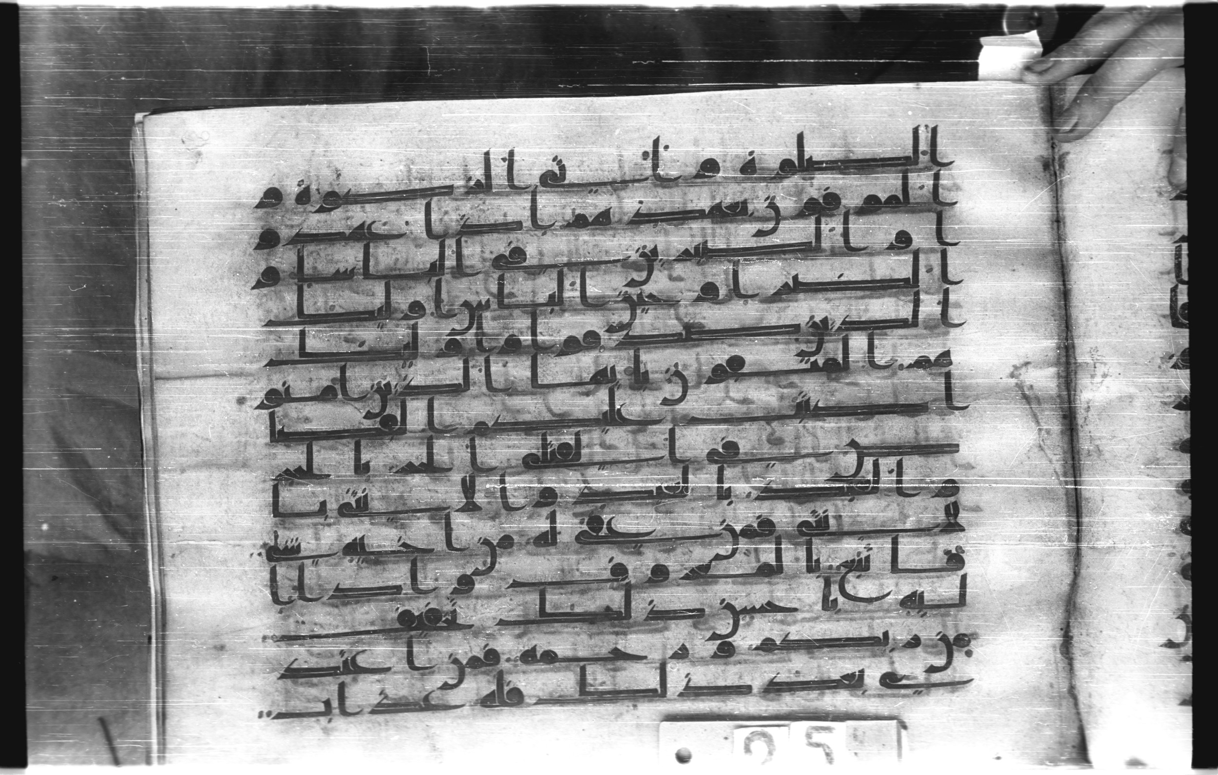Istanbul, Topkapı Palace Museum, "Saray 50386" (Karatay 42) (Scan 2), in kūfī, type F.I script, showing Surah 2:177 from Mid-8th to Late 9th Century AD found in Unknown provenance, currently housed at Topkapı Palace Museum (Topkapı Sarayı Müzesi), Istanbul, Turkey