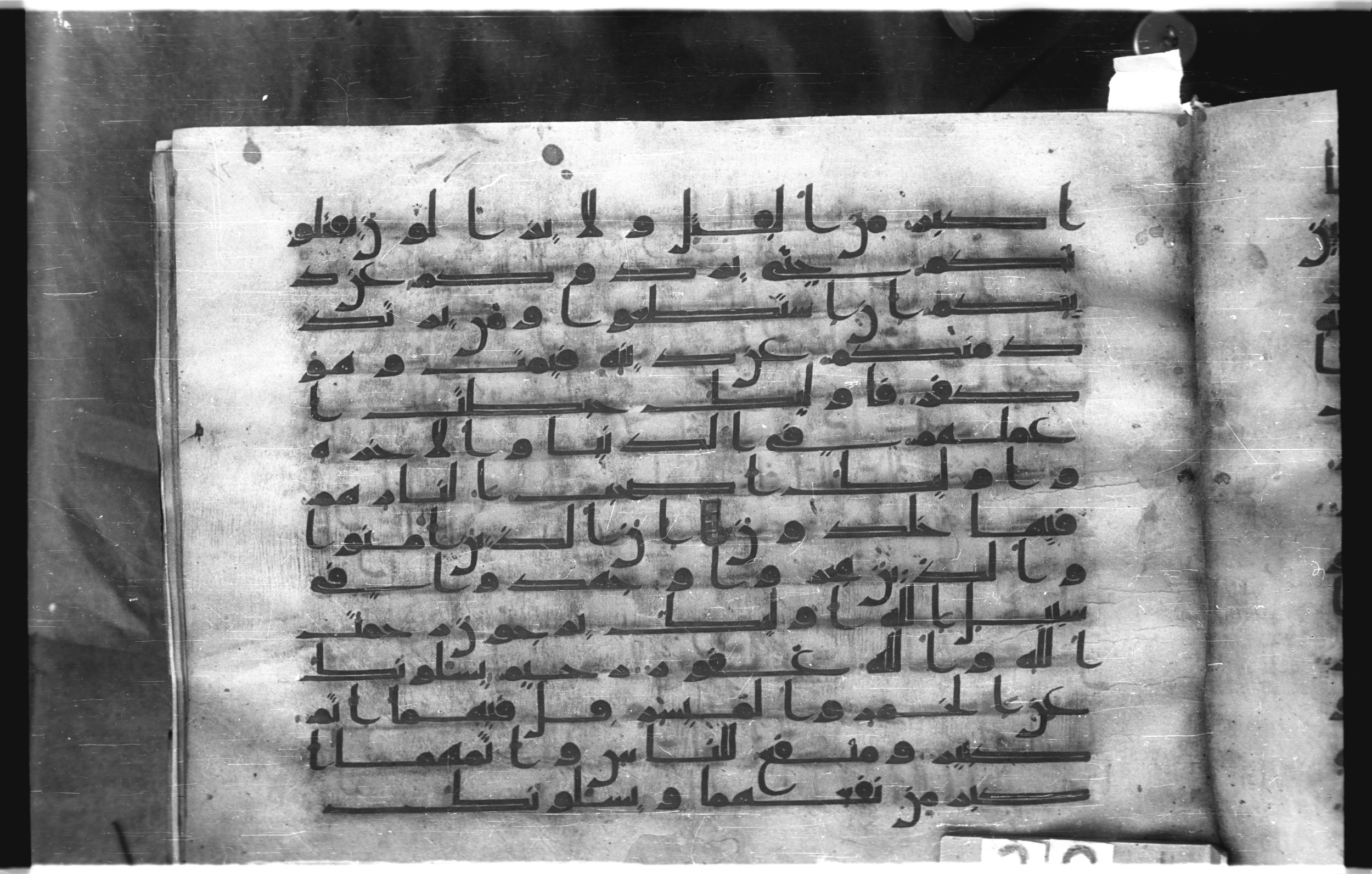 Istanbul, Topkapı Palace Museum, "Saray 50386" (Karatay 42) (Scan 2), in kūfī, type F.I script, showing Surah 2:217 from Mid-8th to Late 9th Century AD found in Unknown provenance, currently housed at Topkapı Palace Museum (Topkapı Sarayı Müzesi), Istanbul, Turkey