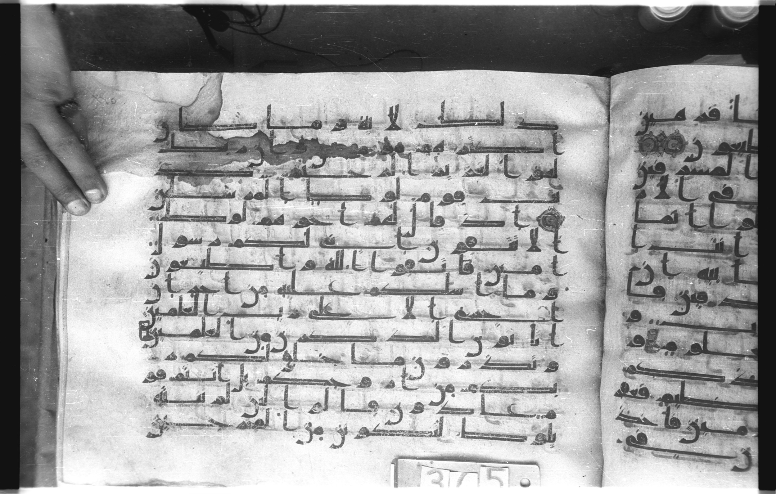Istanbul, Topkapı Palace Museum, "Saray 50386" (Karatay 42), in kūfī, type F.I script, showing Surah 26:166 from Mid-8th to Late 9th Century AD found in Unknown provenance, currently housed at Topkapı Palace Museum (Topkapı Sarayı Müzesi), Istanbul, Turkey