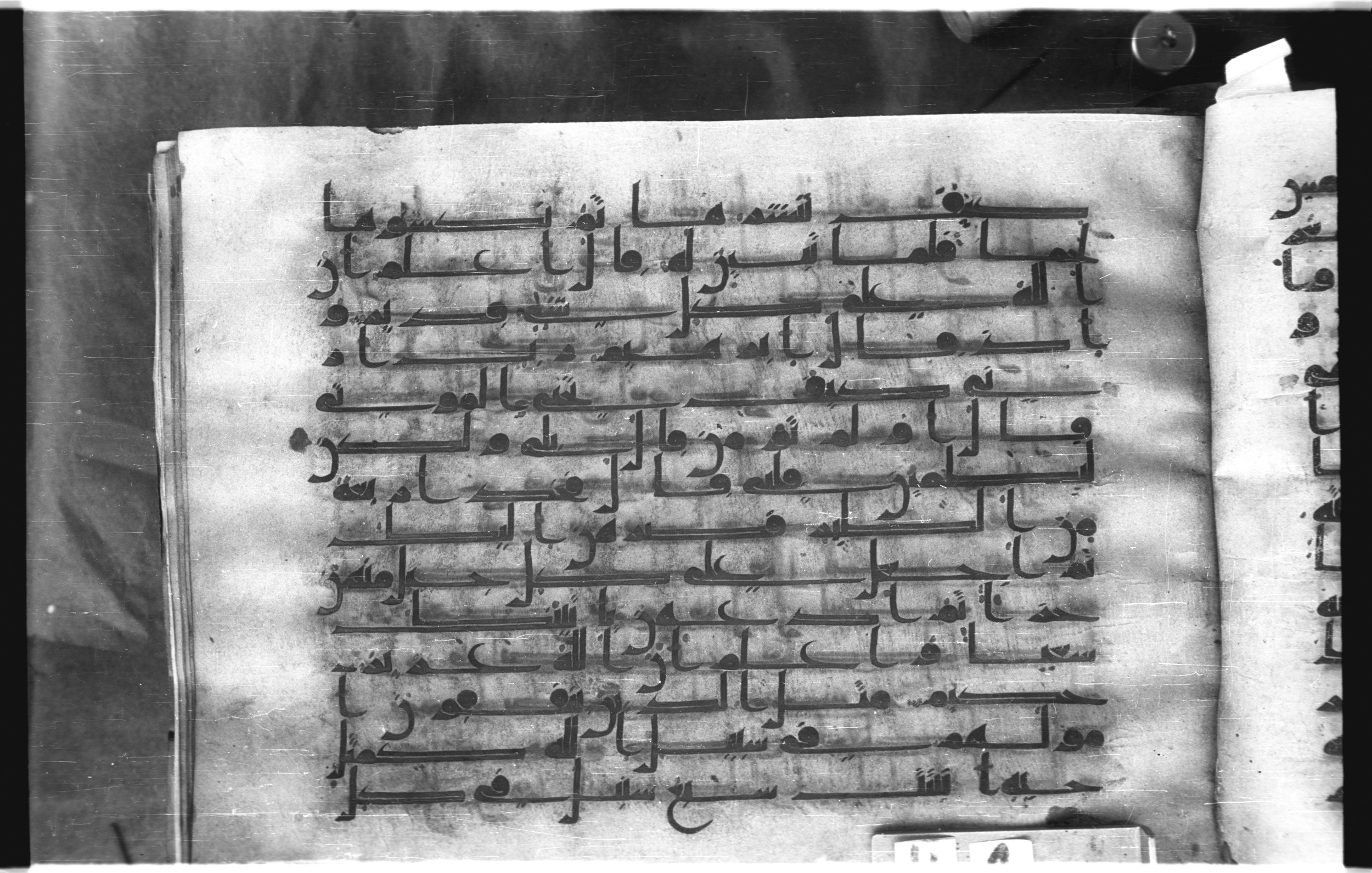 Istanbul, Topkapı Palace Museum, "Saray 50386" (Karatay 42) (Scan 2), in kūfī, type F.I script, showing Surah 2:259 from Mid-8th to Late 9th Century AD found in Unknown provenance, currently housed at Topkapı Palace Museum (Topkapı Sarayı Müzesi), Istanbul, Turkey