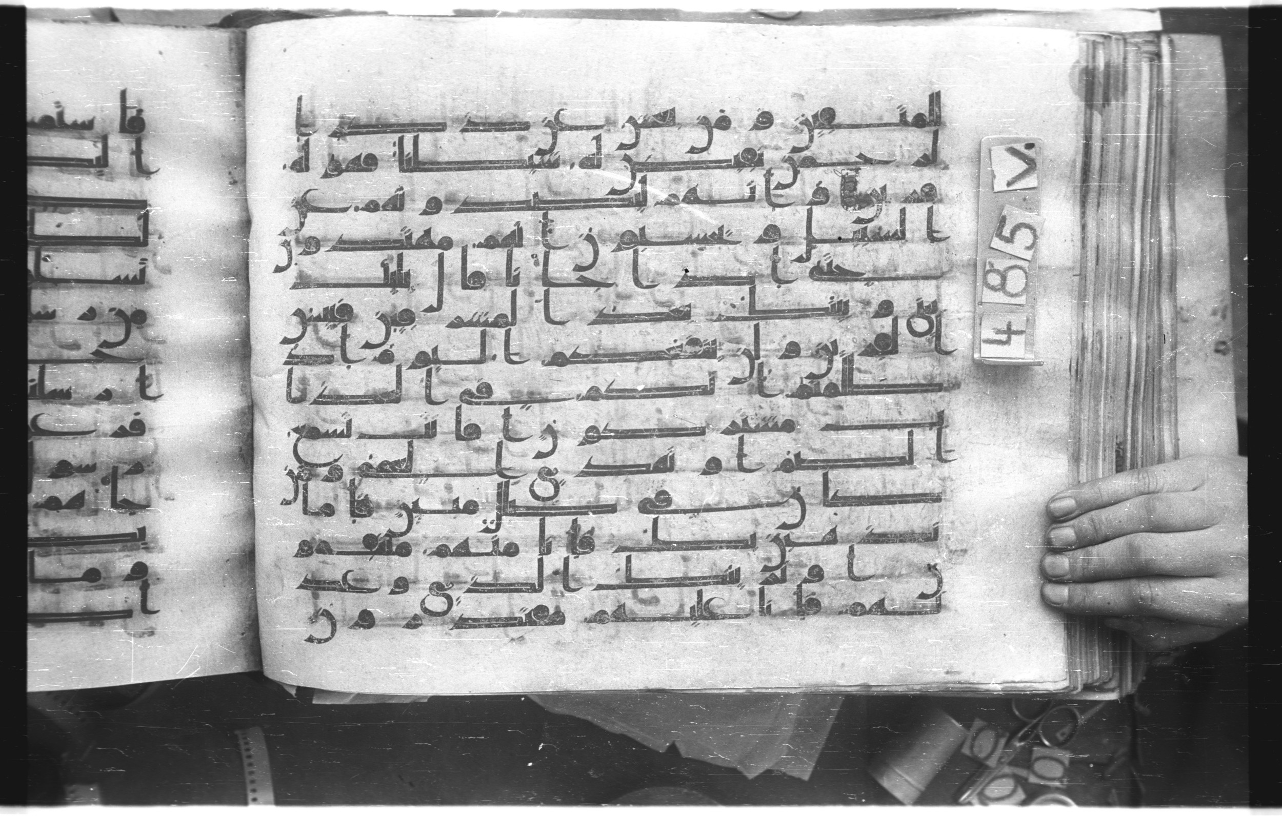 Istanbul, Topkapı Palace Museum, "Saray 50386" (Karatay 42), in kūfī, type F.I script, showing Surah 43:39 from Mid-8th to Late 9th Century AD found in Unknown provenance, currently housed at Topkapı Palace Museum (Topkapı Sarayı Müzesi), Istanbul, Turkey