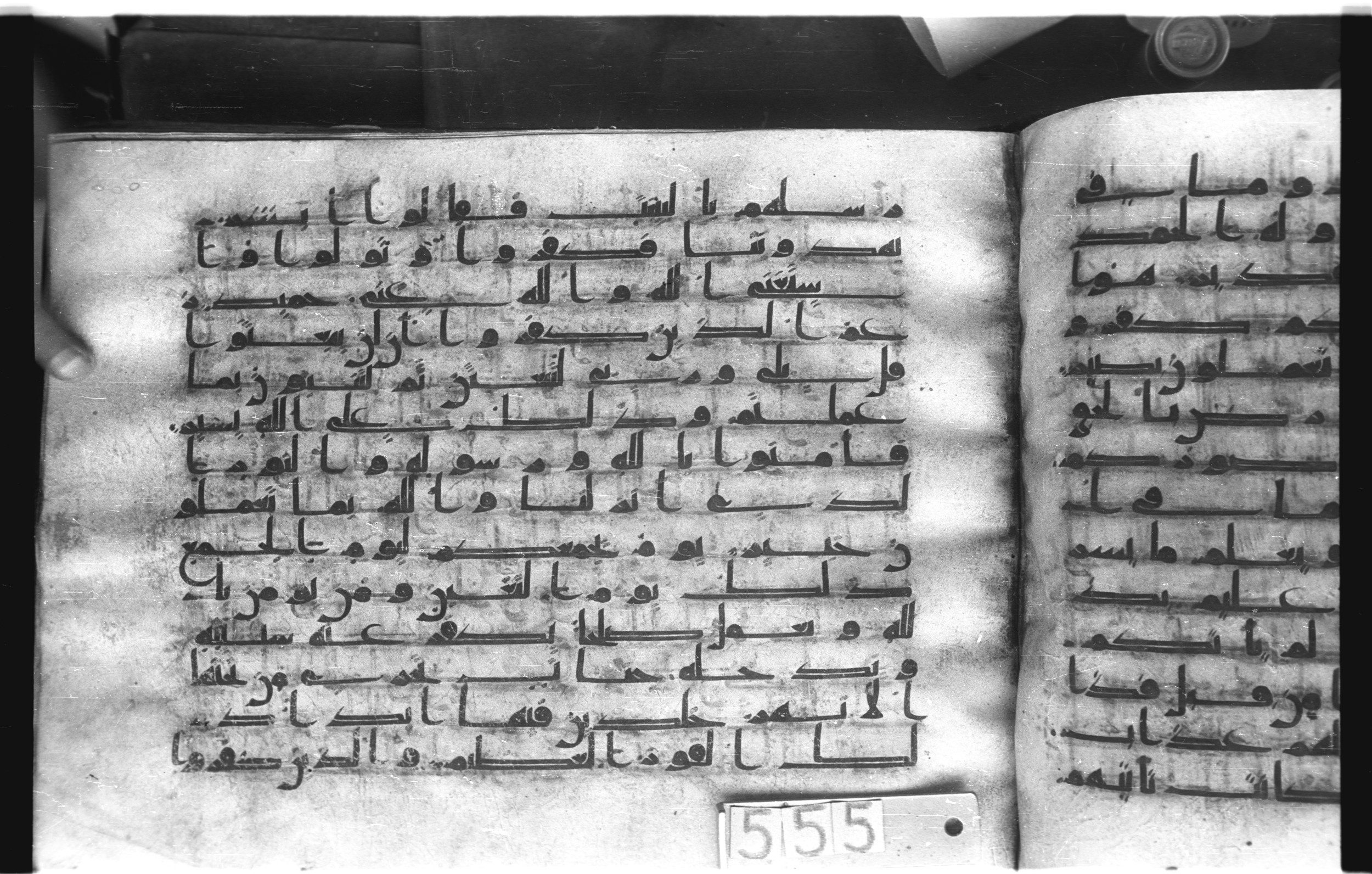 Istanbul, Topkapı Palace Museum, "Saray 50386" (Karatay 42), in kūfī, type F.I script, showing Surah 64:8 from Mid-8th to Late 9th Century AD found in Unknown provenance, currently housed at Topkapı Palace Museum (Topkapı Sarayı Müzesi), Istanbul, Turkey