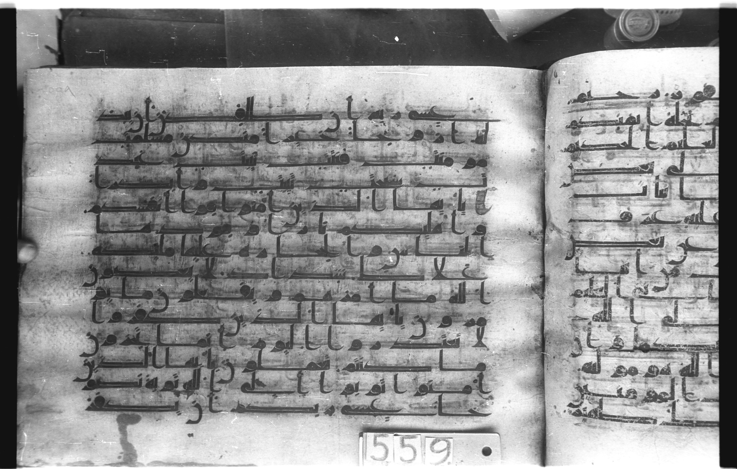 Istanbul, Topkapı Palace Museum, "Saray 50386" (Karatay 42), in kūfī, type F.I script, showing Surah 66:7 from Mid-8th to Late 9th Century AD found in Unknown provenance, currently housed at Topkapı Palace Museum (Topkapı Sarayı Müzesi), Istanbul, Turkey