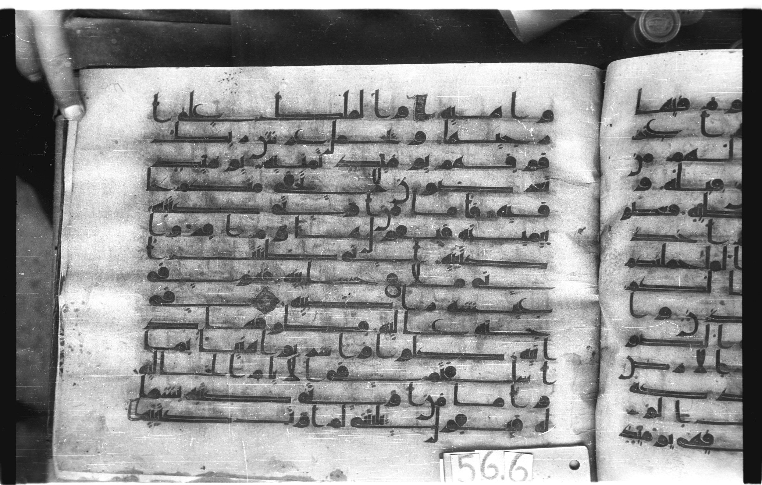 Istanbul, Topkapı Palace Museum, "Saray 50386" (Karatay 42), in kūfī, type F.I script, showing Surah 69:21 from Mid-8th to Late 9th Century AD found in Unknown provenance, currently housed at Topkapı Palace Museum (Topkapı Sarayı Müzesi), Istanbul, Turkey