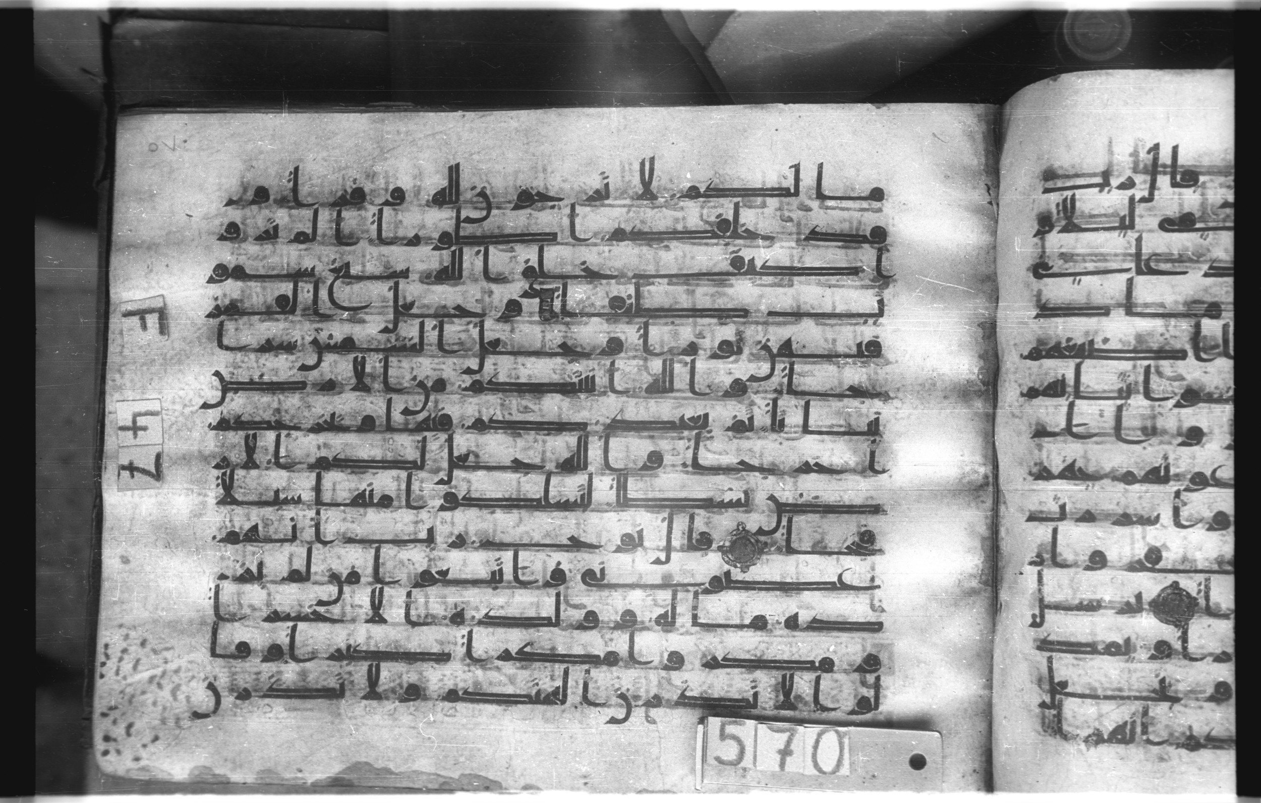 Istanbul, Topkapı Palace Museum, "Saray 50386" (Karatay 42) (Scan 1), in kūfī, type F.I script, showing Surah 71:13 from Mid-8th to Late 9th Century AD found in Unknown provenance, currently housed at Topkapı Palace Museum (Topkapı Sarayı Müzesi), Istanbul, Turkey