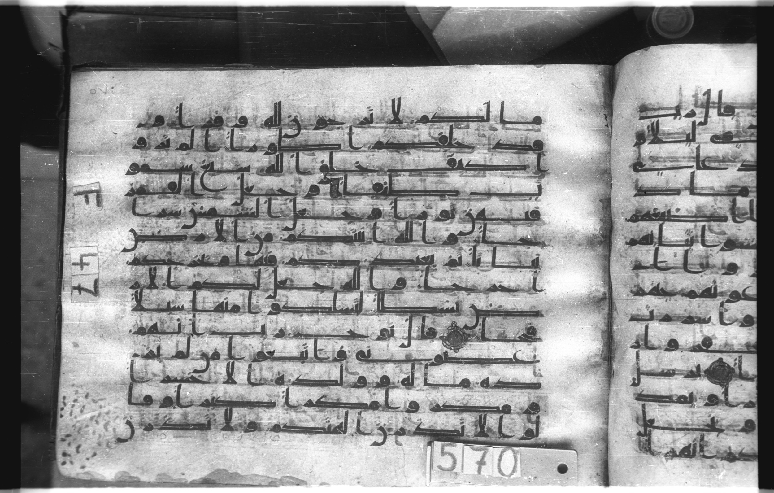 Istanbul, Topkapı Palace Museum, "Saray 50386" (Karatay 42) (Scan 2), in kūfī, type F.I script, showing Surah 71:13 from Mid-8th to Late 9th Century AD found in Unknown provenance, currently housed at Topkapı Palace Museum (Topkapı Sarayı Müzesi), Istanbul, Turkey