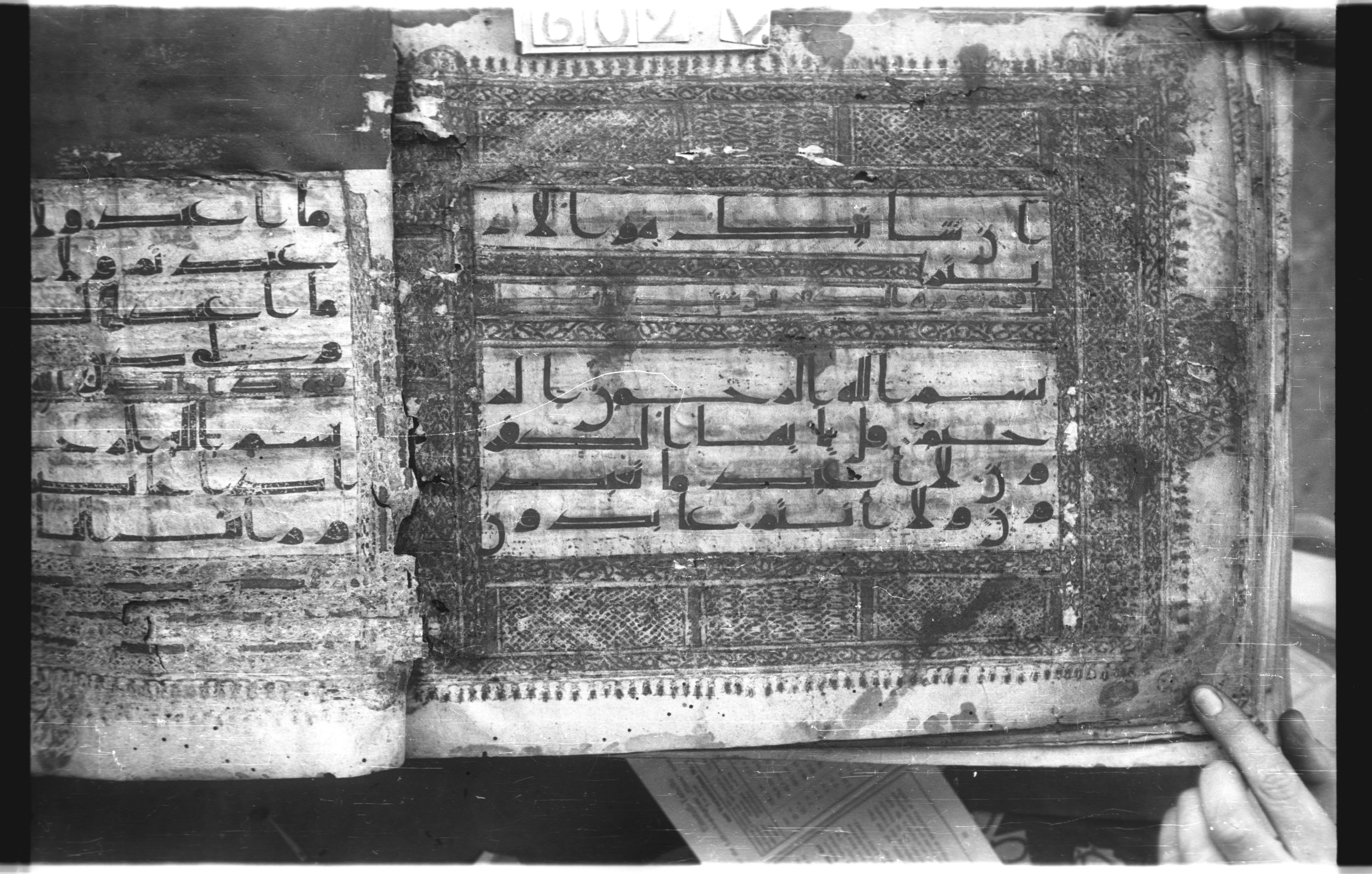 Istanbul, Topkapı Palace Museum, "Saray 50386" (Karatay 42), in kūfī, type F.I script, showing Surah 109:2 from Mid-8th to Late 9th Century AD found in Unknown provenance, currently housed at Topkapı Palace Museum (Topkapı Sarayı Müzesi), Istanbul, Turkey