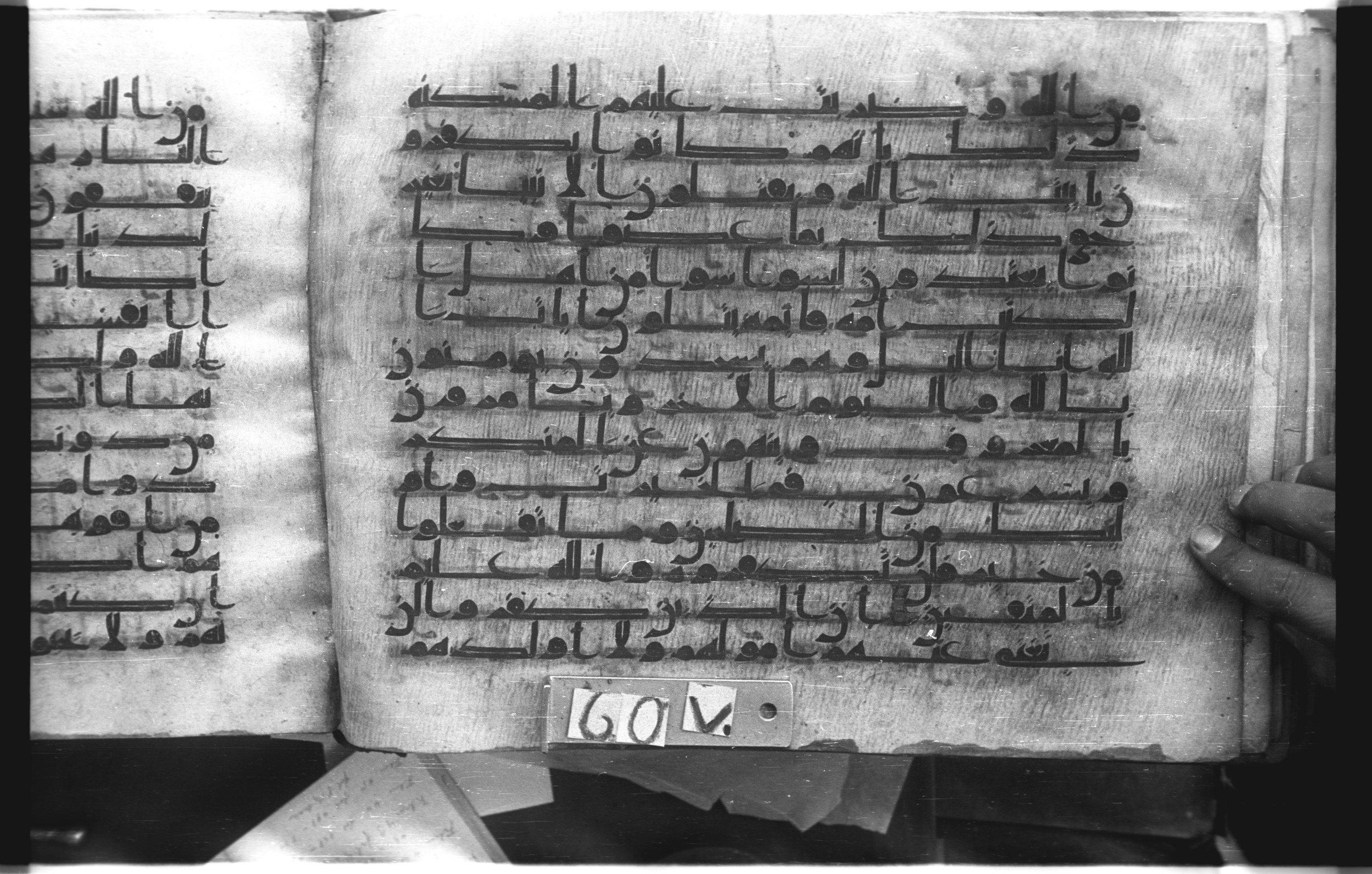 Istanbul, Topkapı Palace Museum, "Saray 50386" (Karatay 42) (Scan 1), in kūfī, type F.I script, showing Surah 3:116 from Mid-8th to Late 9th Century AD found in Unknown provenance, currently housed at Topkapı Palace Museum (Topkapı Sarayı Müzesi), Istanbul, Turkey