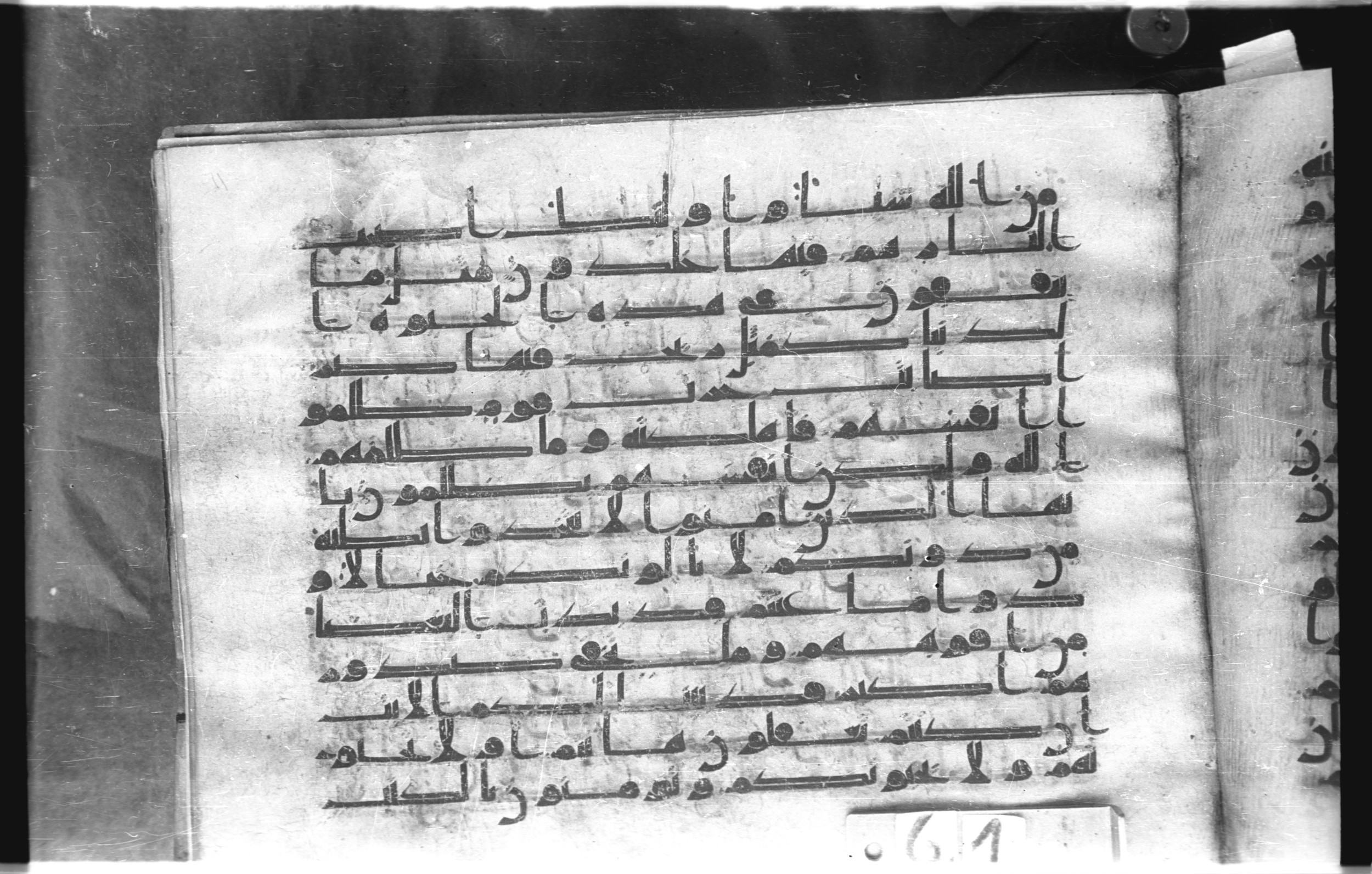 Istanbul, Topkapı Palace Museum, "Saray 50386" (Karatay 42) (Scan 2), in kūfī, type F.I script, showing Surah 3:116 from Mid-8th to Late 9th Century AD found in Unknown provenance, currently housed at Topkapı Palace Museum (Topkapı Sarayı Müzesi), Istanbul, Turkey