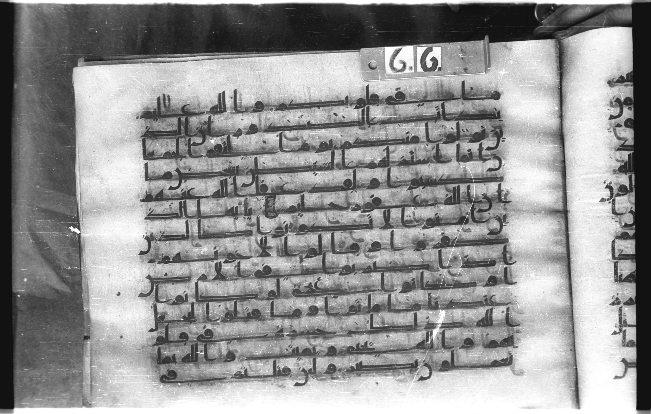 Istanbul, Topkapı Palace Museum, "Saray 50386" (Karatay 42) (Scan 2), in kūfī, type F.I script, showing Surah 3:154 from Mid-8th to Late 9th Century AD found in Unknown provenance, currently housed at Topkapı Palace Museum (Topkapı Sarayı Müzesi), Istanbul, Turkey