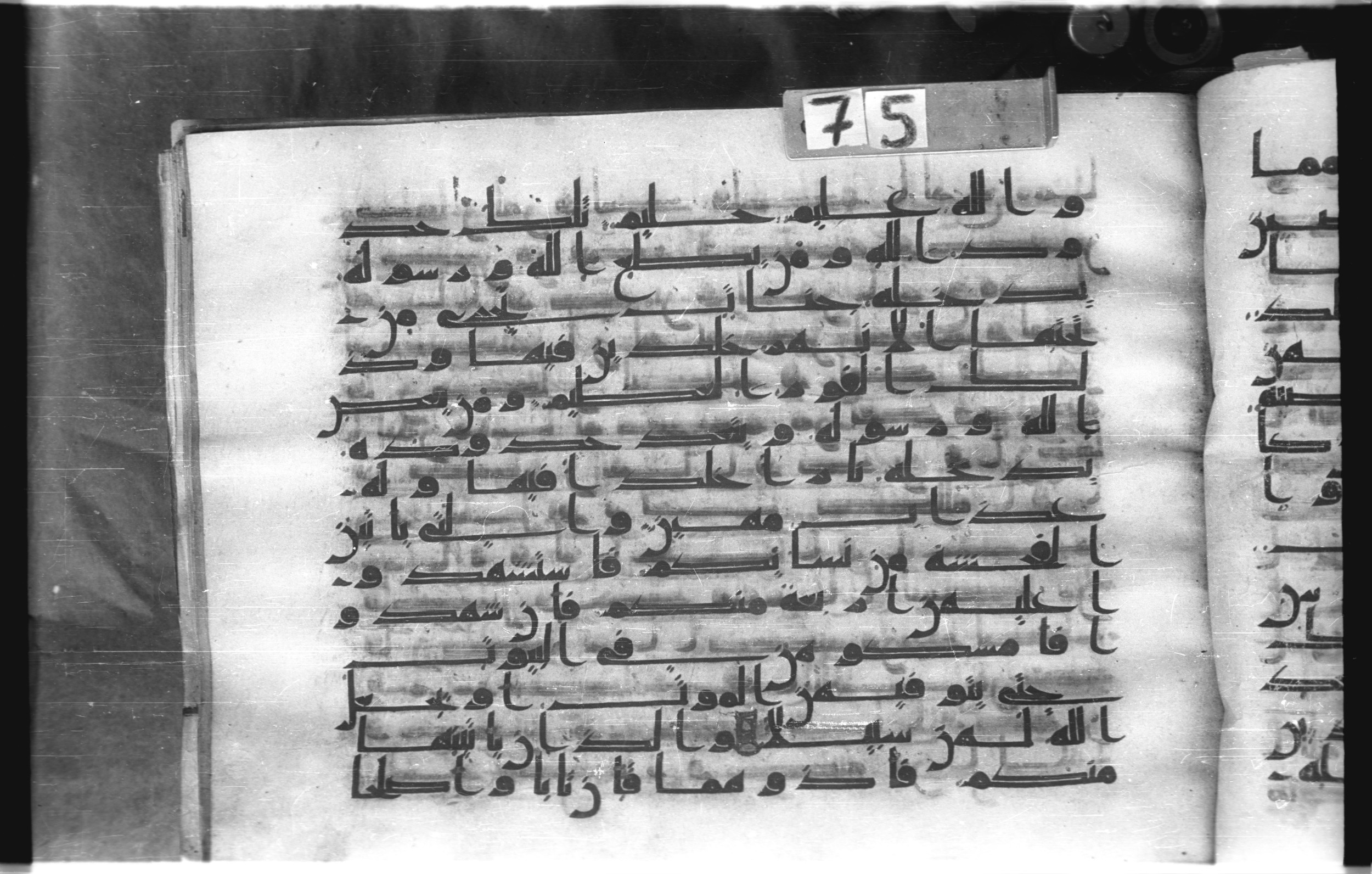 Istanbul, Topkapı Palace Museum, "Saray 50386" (Karatay 42) (Scan 3), in kūfī, type F.I script, showing Surah 4:12 from Mid-8th to Late 9th Century AD found in Unknown provenance, currently housed at Topkapı Palace Museum (Topkapı Sarayı Müzesi), Istanbul, Turkey