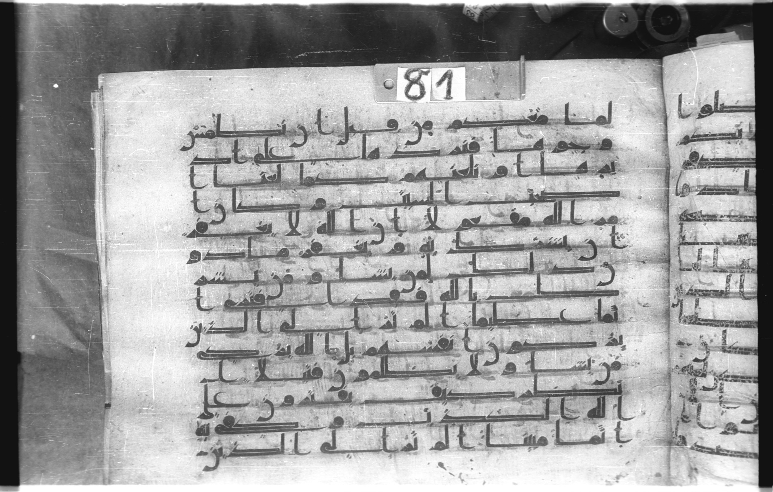 Istanbul, Topkapı Palace Museum, "Saray 50386" (Karatay 42), in kūfī, type F.I script, showing Surah 4:49 from Mid-8th to Late 9th Century AD found in Unknown provenance, currently housed at Topkapı Palace Museum (Topkapı Sarayı Müzesi), Istanbul, Turkey