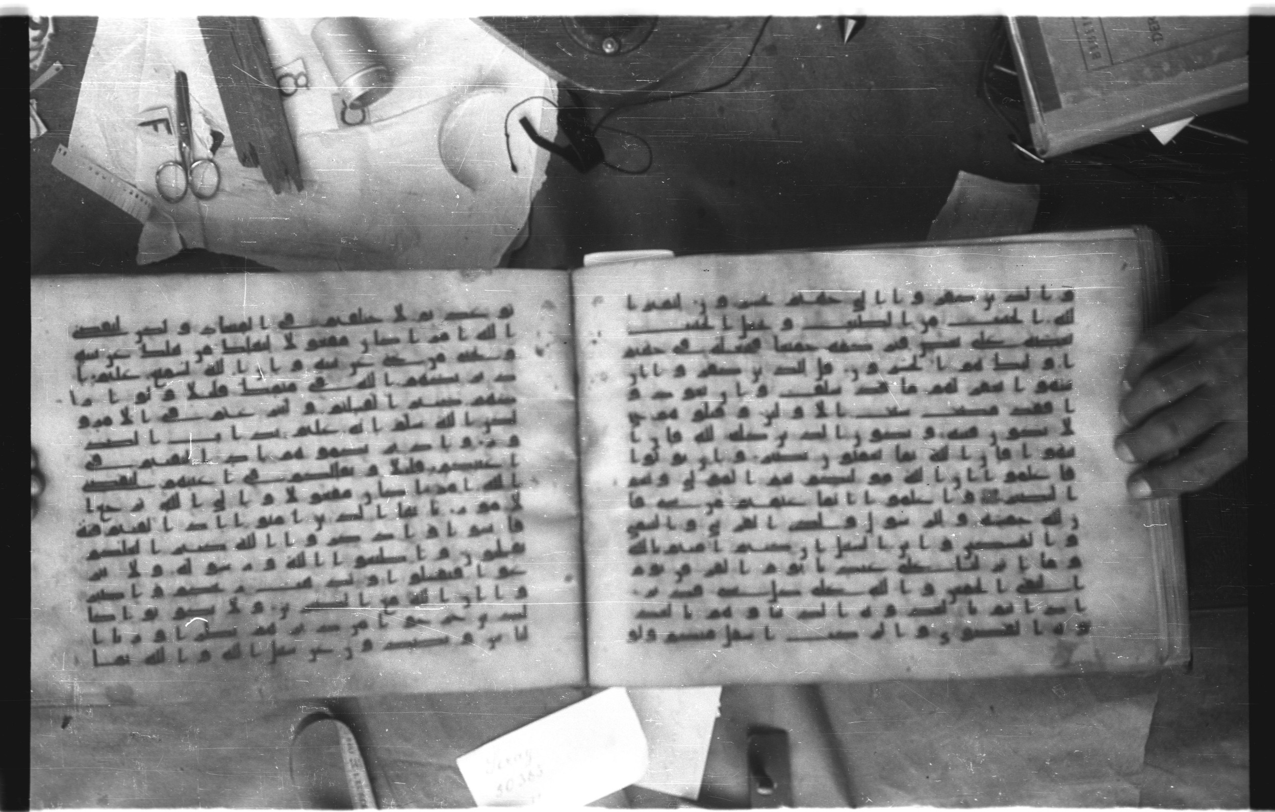 Topkapı Palace Museum, Saray 50395 (Scan 2), in Kūfī D IV script, showing Surah 8:39 from Mid 8th to Late 9th Century AD found in Unknown, currently housed at Topkapı Palace Museum (Topkapı Sarayı Müzesi), Istanbul, Turkey