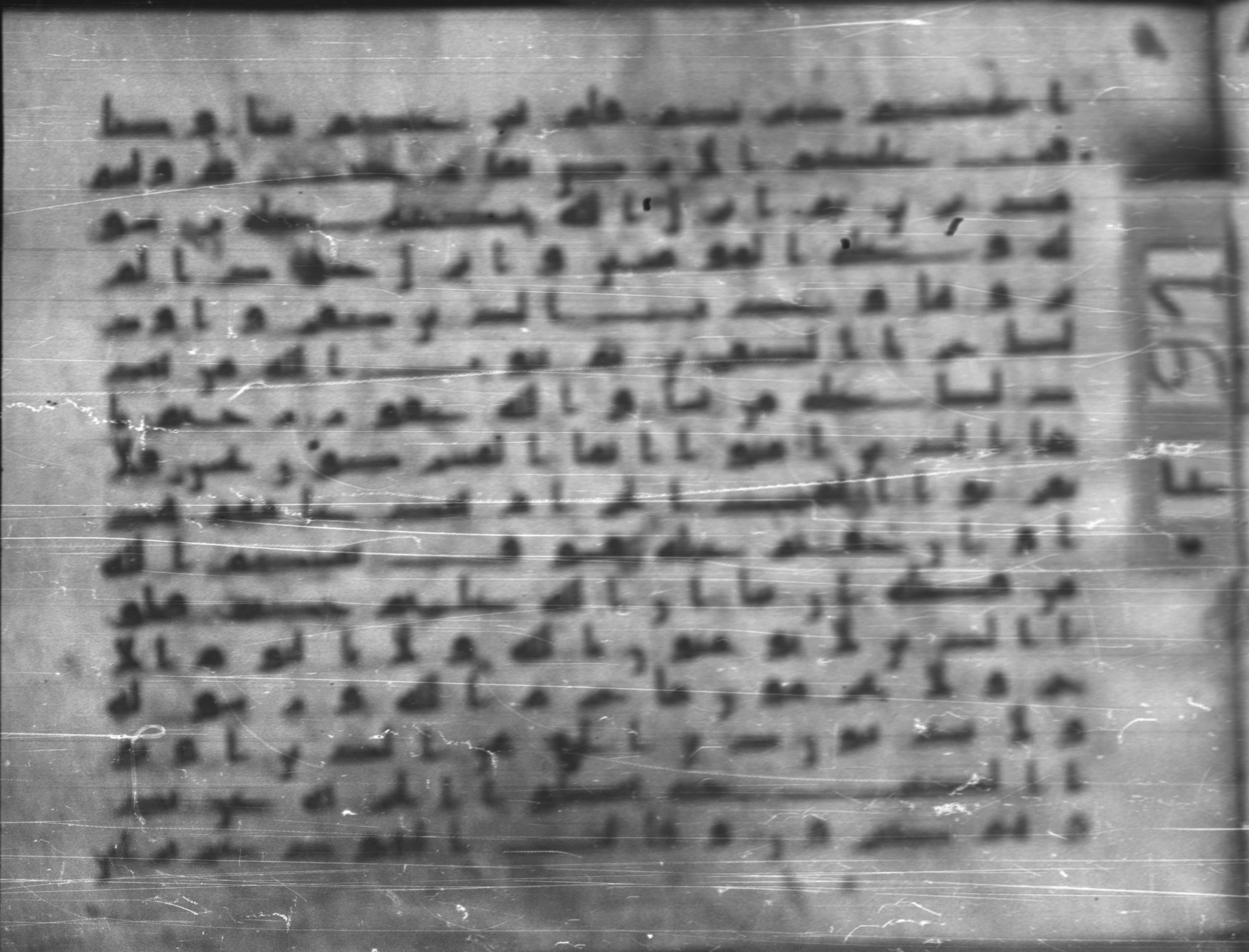Topkapı Palace Museum, Saray 50395, in Kūfī D IV script, showing Surah 9:29 from Mid 8th to Late 9th Century AD found in Unknown, currently housed at Topkapı Palace Museum (Topkapı Sarayı Müzesi), Istanbul, Turkey