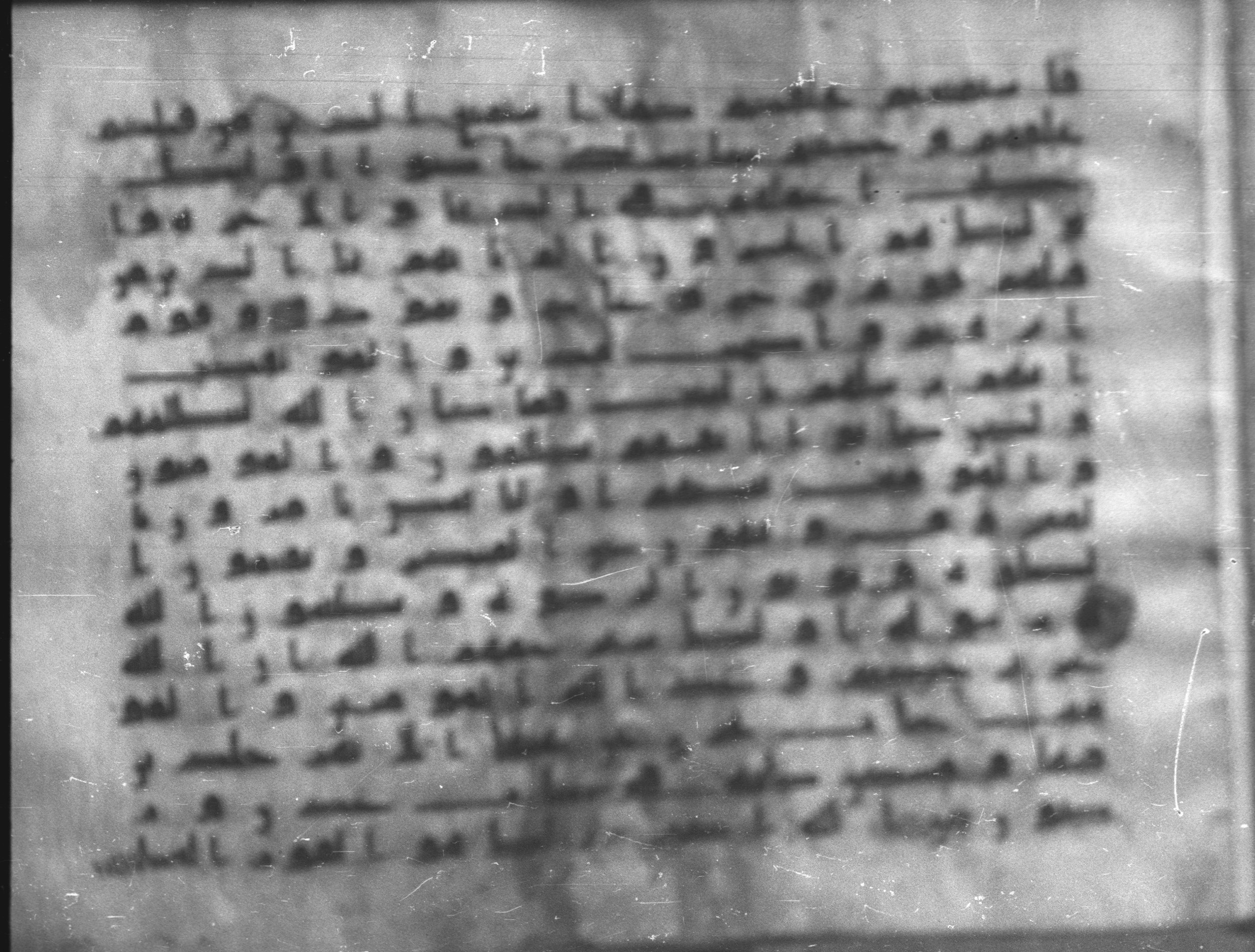 Topkapı Palace Museum, Saray 50395, in Kūfī D IV script, showing Surah 9:71 from Mid 8th to Late 9th Century AD found in Unknown, currently housed at Topkapı Palace Museum (Topkapı Sarayı Müzesi), Istanbul, Turkey