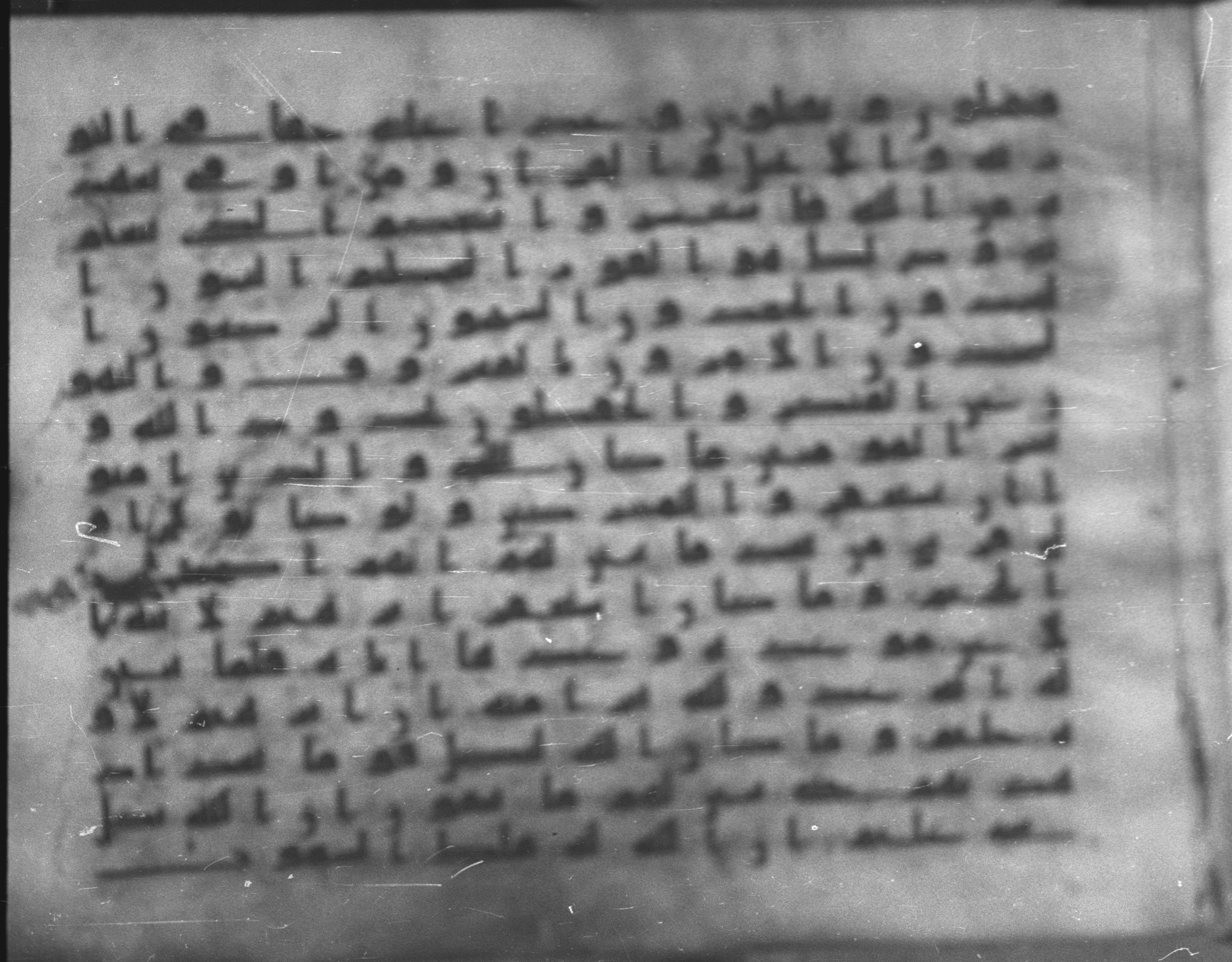 Topkapı Palace Museum, Saray 50395, in Kūfī D IV script, showing Surah 9:113 from Mid 8th to Late 9th Century AD found in Unknown, currently housed at Topkapı Palace Museum (Topkapı Sarayı Müzesi), Istanbul, Turkey