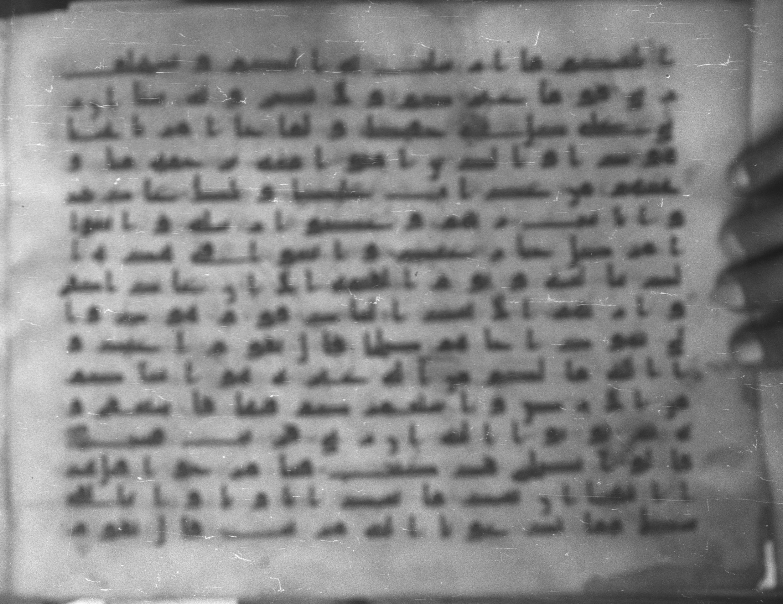 Topkapı Palace Museum, Saray 50395 (Scan 1), in Kūfī D IV script, showing Surah 11:63 from Mid 8th to Late 9th Century AD found in Unknown, currently housed at Topkapı Palace Museum (Topkapı Sarayı Müzesi), Istanbul, Turkey