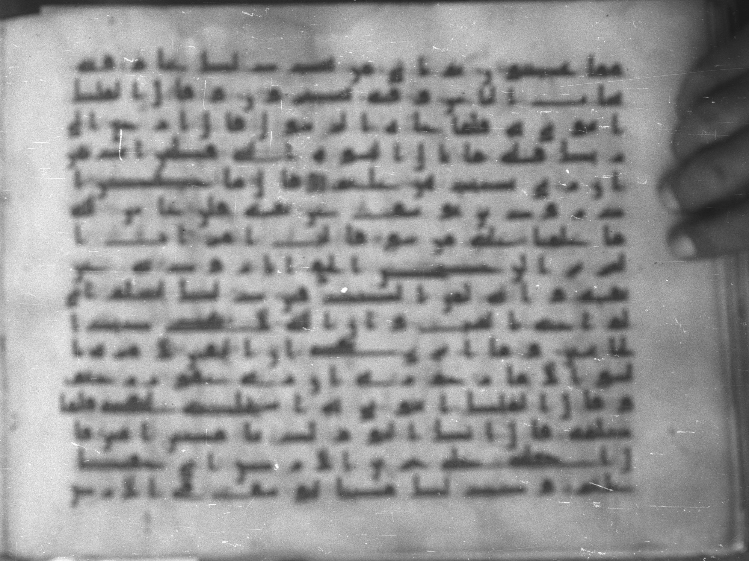 Topkapı Palace Museum, Saray 50395 (Scan 1), in Kūfī D IV script, showing Surah 12:49 from Mid 8th to Late 9th Century AD found in Unknown, currently housed at Topkapı Palace Museum (Topkapı Sarayı Müzesi), Istanbul, Turkey