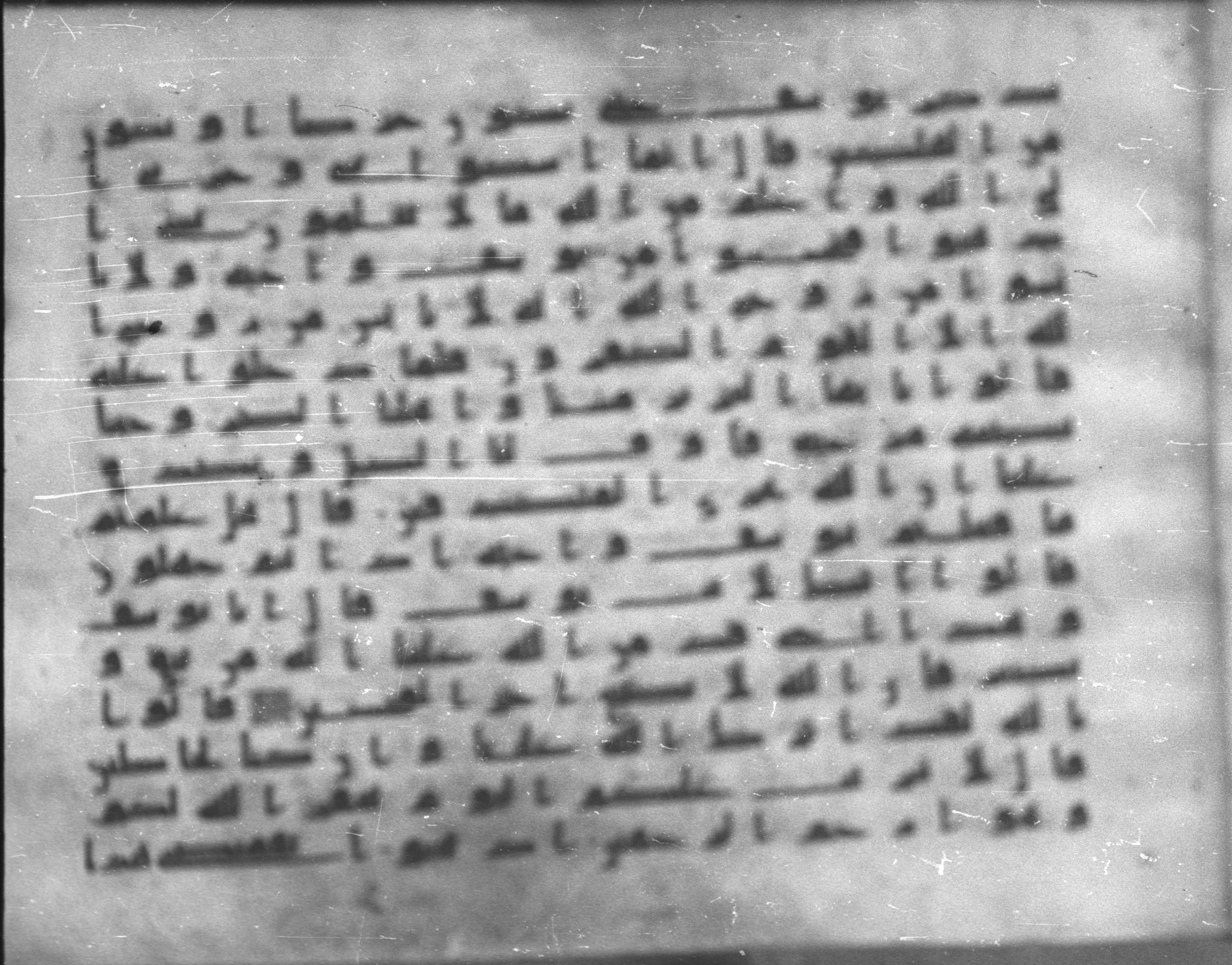 Topkapı Palace Museum, Saray 50395, in Kūfī D IV script, showing Surah 12:91 from Mid 8th to Late 9th Century AD found in Unknown, currently housed at Topkapı Palace Museum (Topkapı Sarayı Müzesi), Istanbul, Turkey