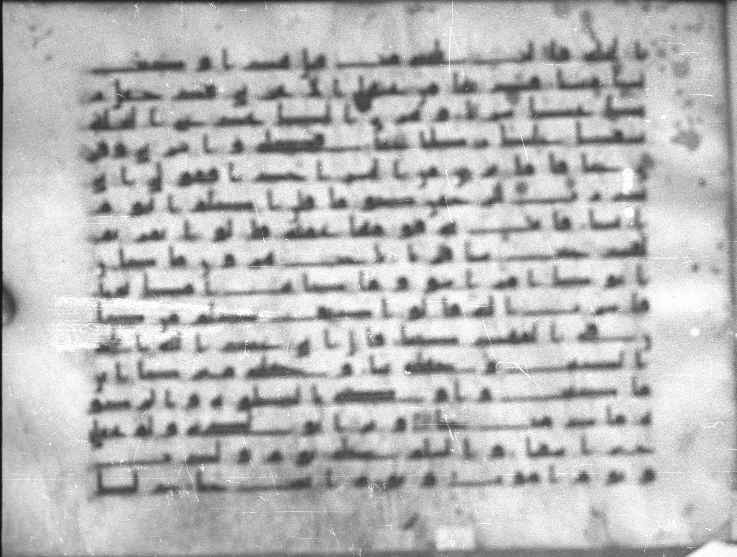 Topkapı Palace Museum, Saray 50395, in Kūfī D IV script, showing Surah 19:32 from Mid 8th to Late 9th Century AD found in Unknown, currently housed at Topkapı Palace Museum (Topkapı Sarayı Müzesi), Istanbul, Turkey