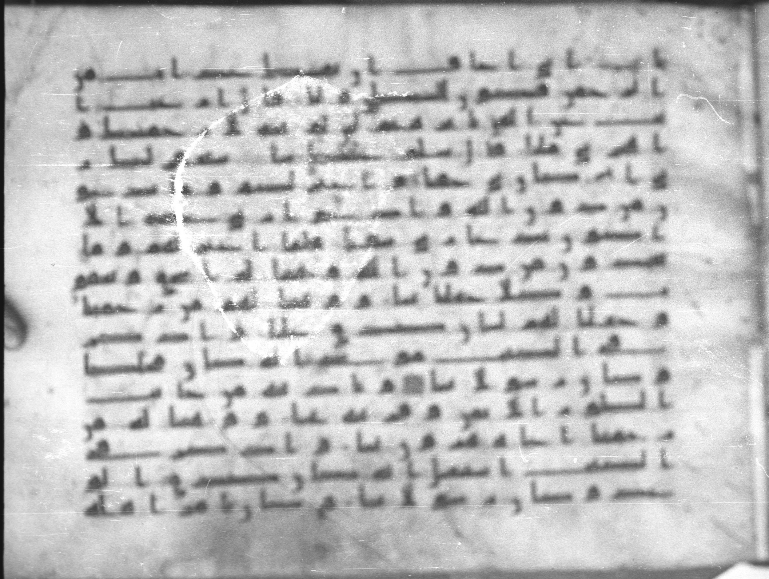 Topkapı Palace Museum, Saray 50395, in Kūfī D IV script, showing Surah 19:49 from Mid 8th to Late 9th Century AD found in Unknown, currently housed at Topkapı Palace Museum (Topkapı Sarayı Müzesi), Istanbul, Turkey